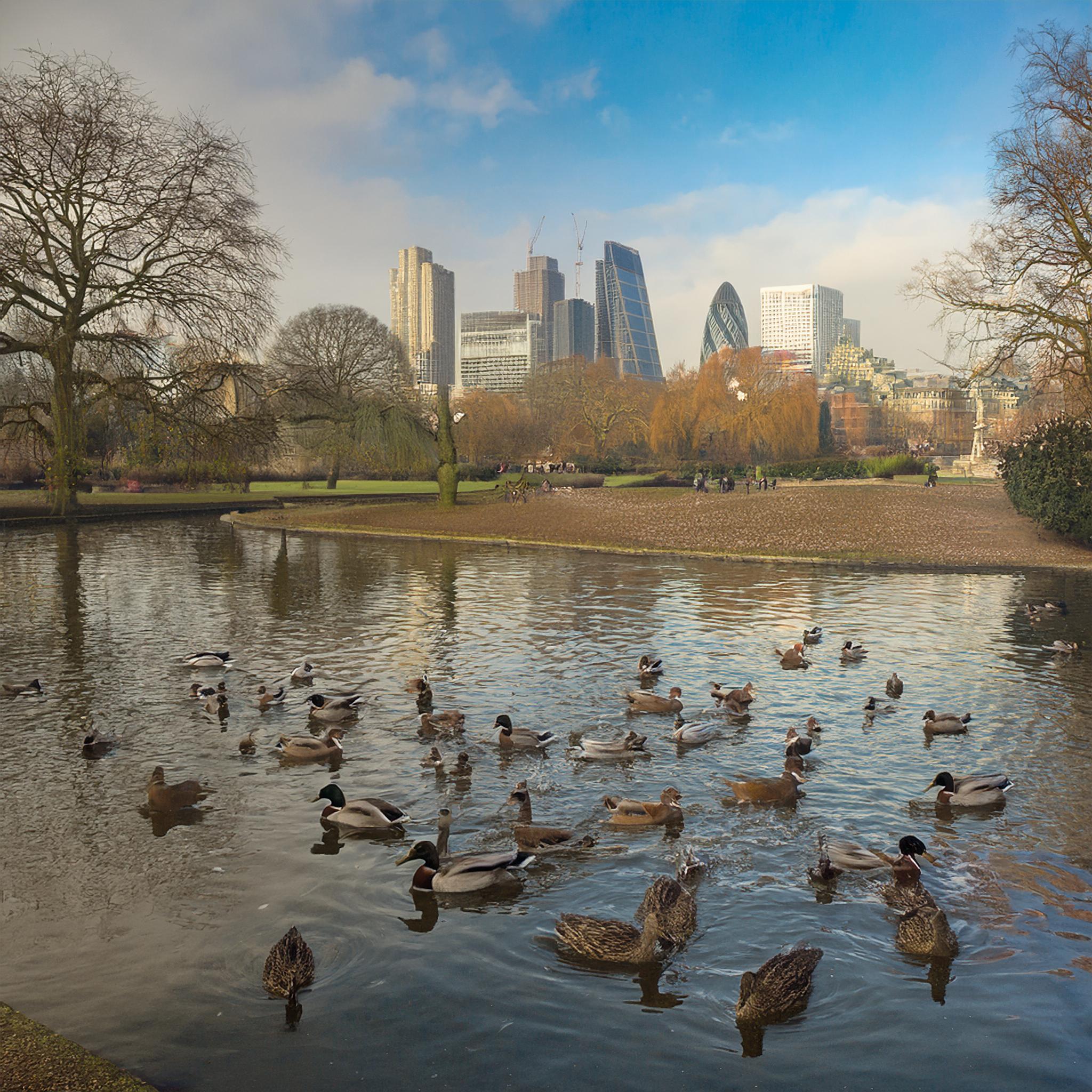 07-Jan Wildfowl in London's Parks