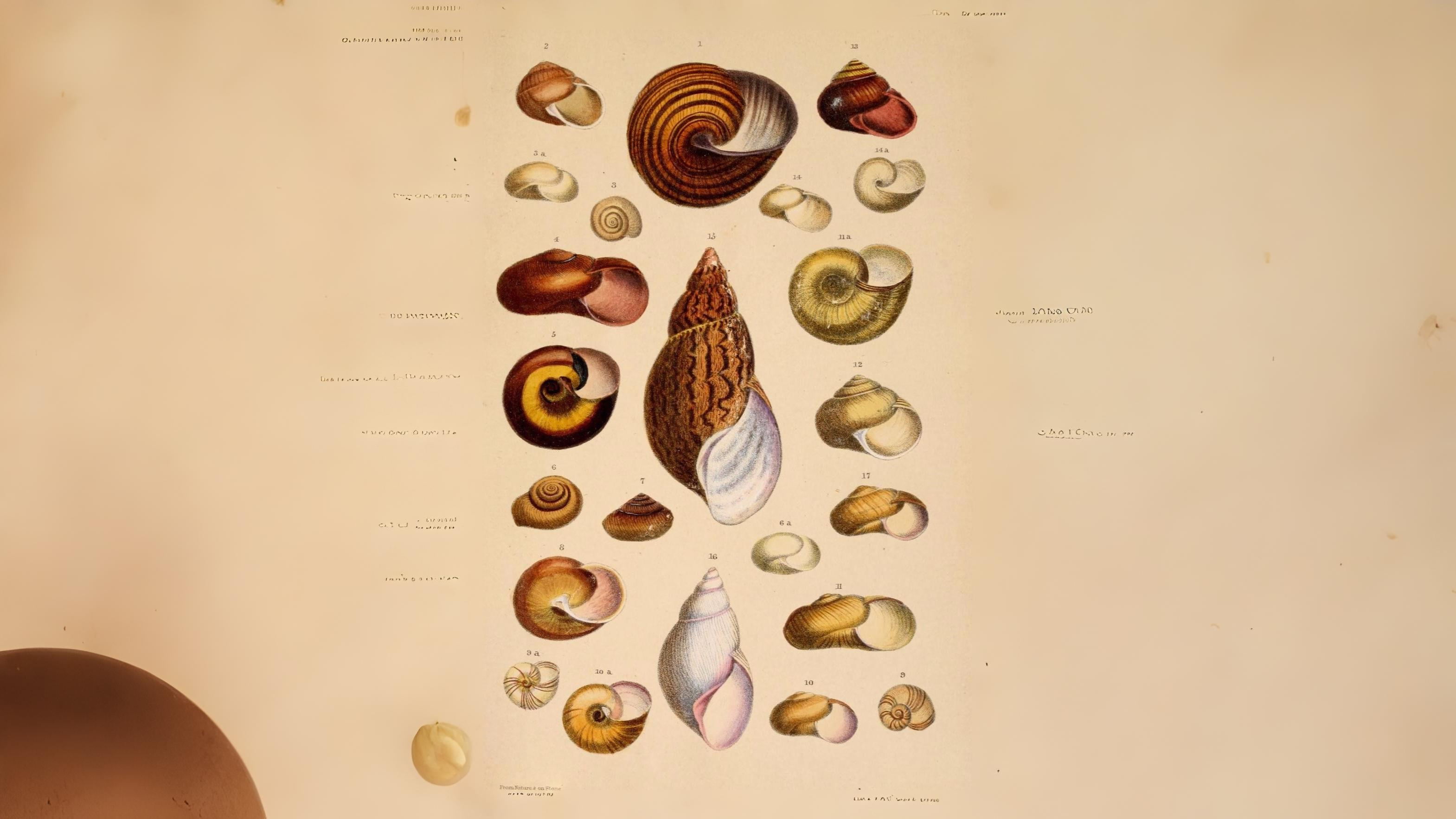10-Apr London’s Aquatic Secrets Section Image
