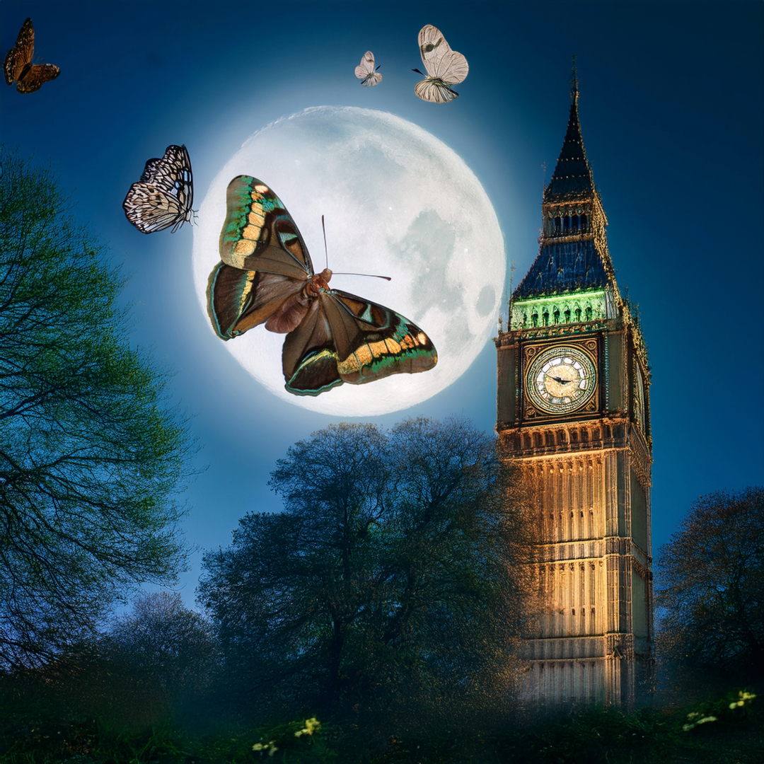 13-Apr London’s Moth Magic