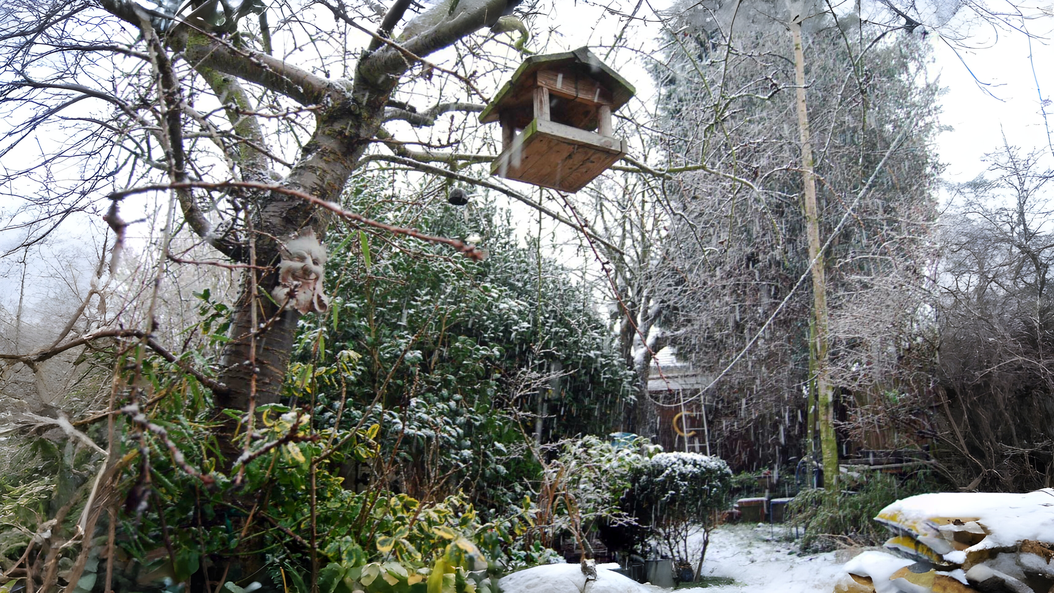 13-Jan Discover January's Blooms! Section Image