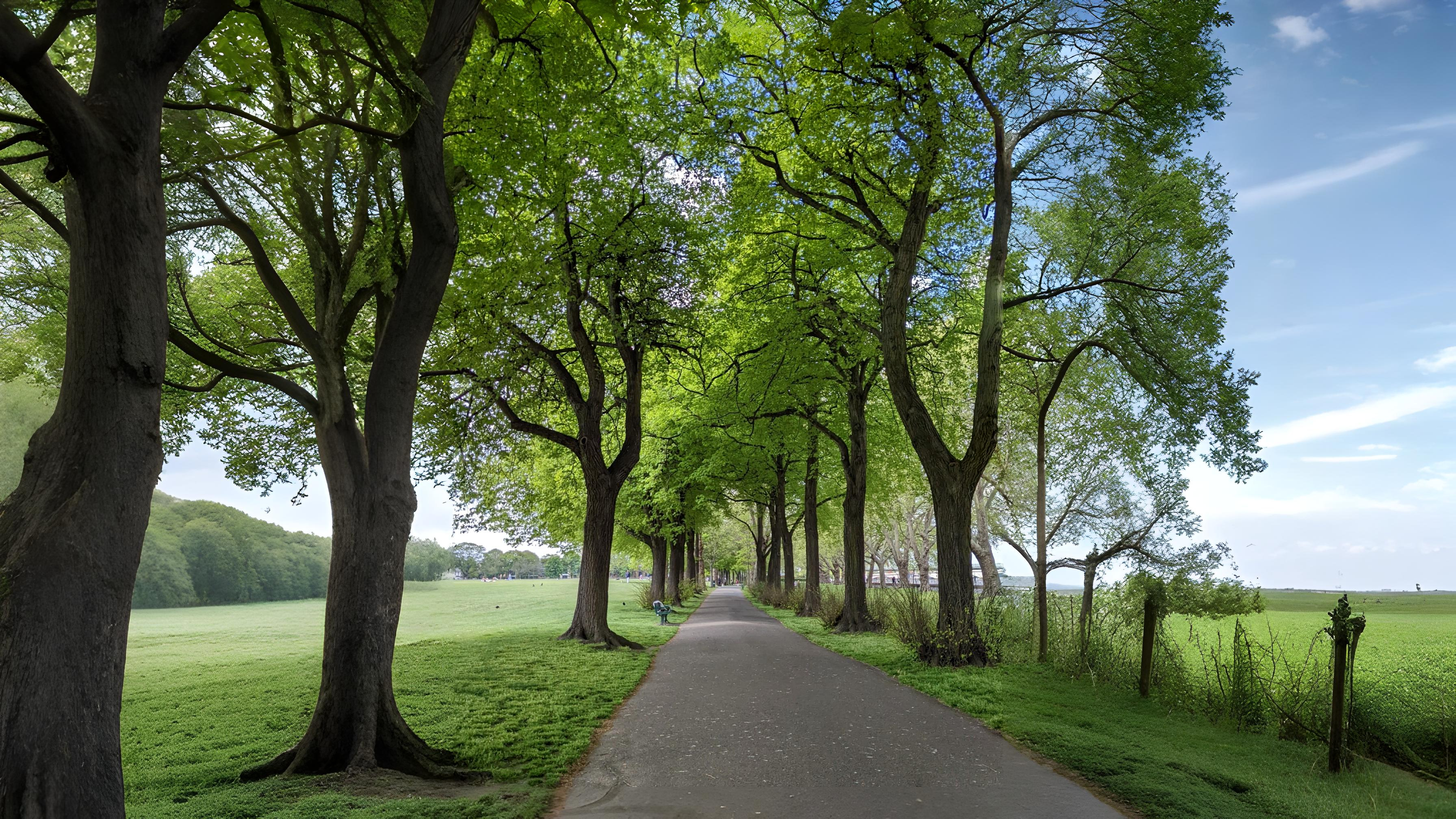 15-Apr London’s Arboreal Awakening Section Image