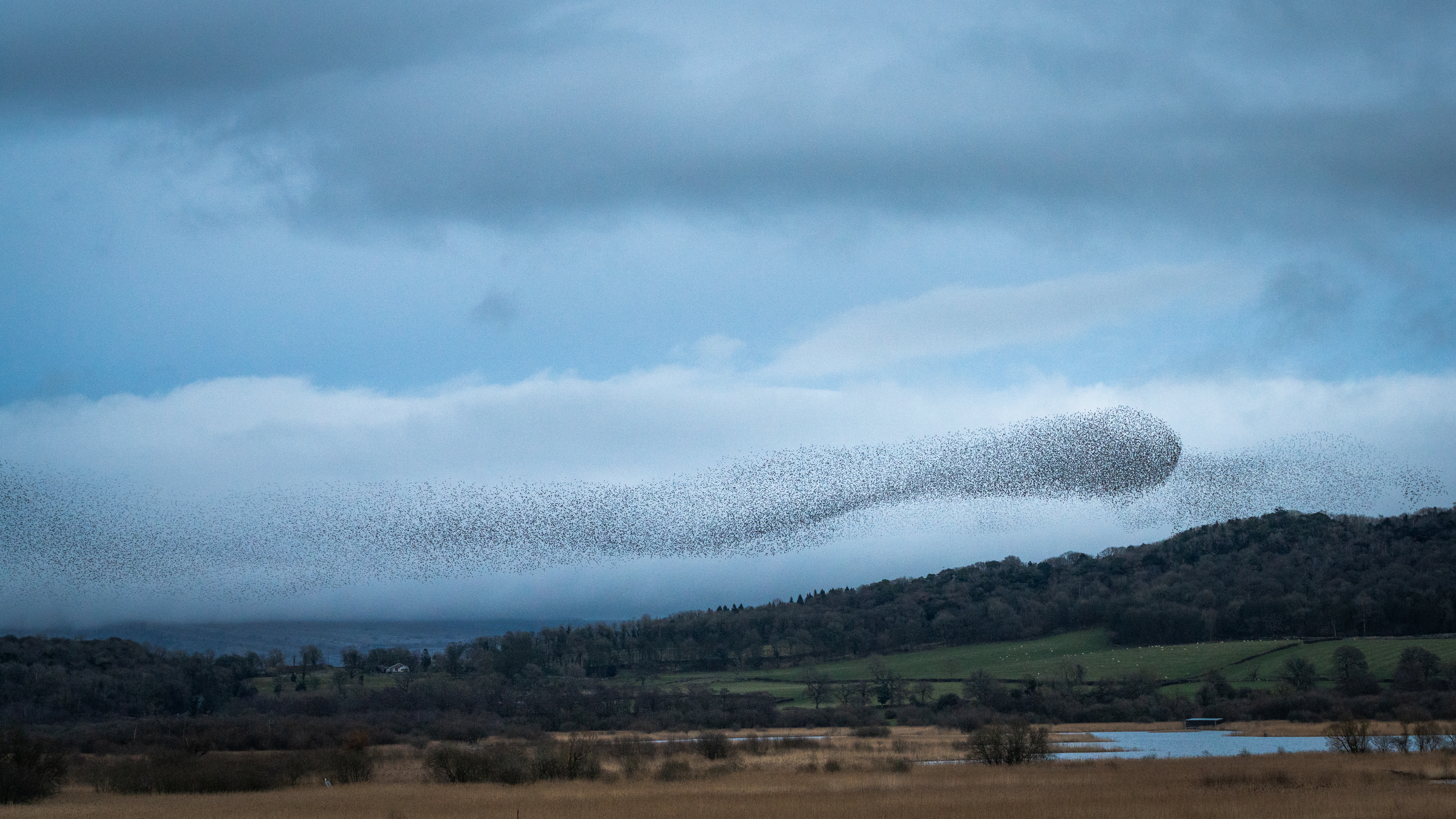 15-Feb Mysteries of Early Nesting Birds! Section Image