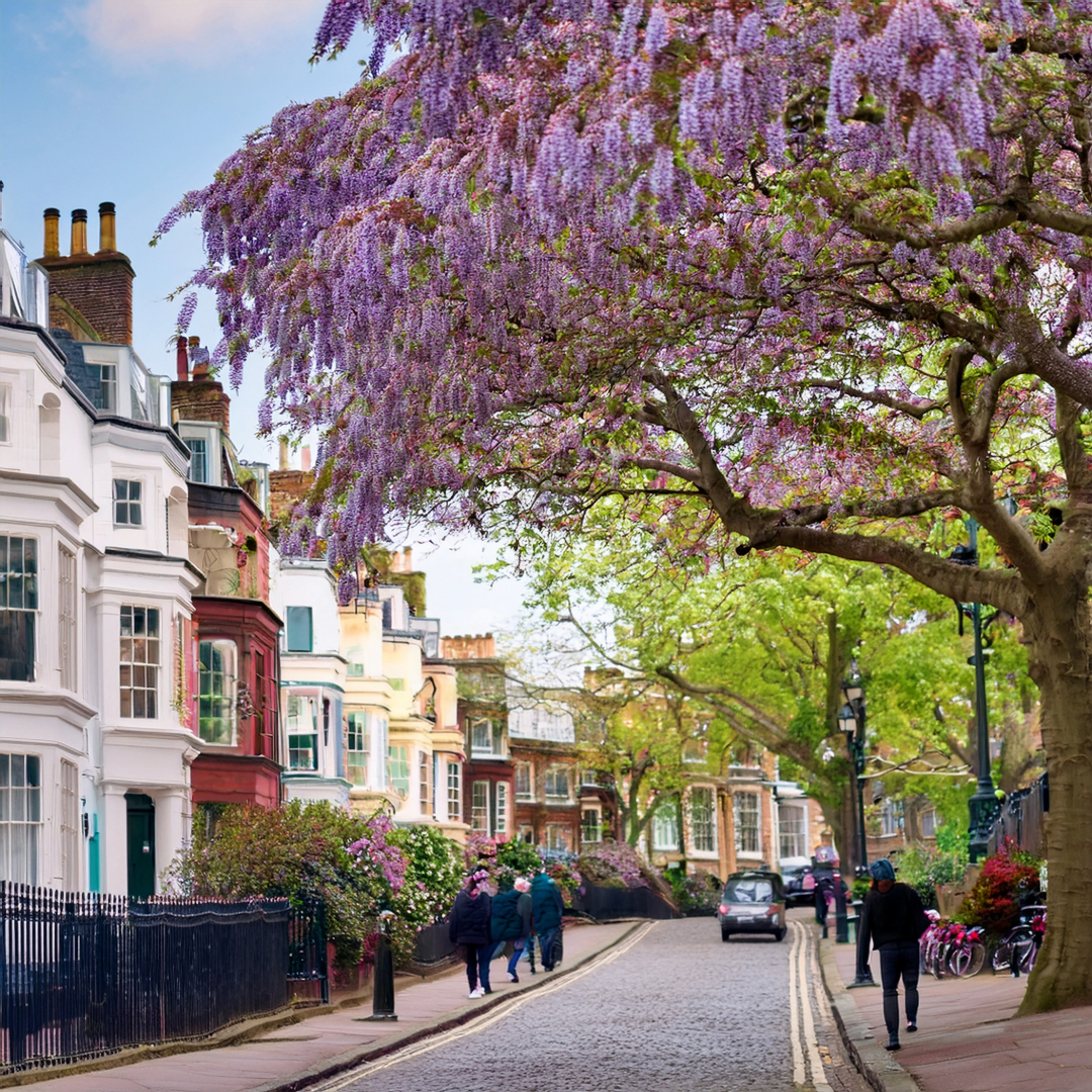 16-Apr London's Street Blosssoms