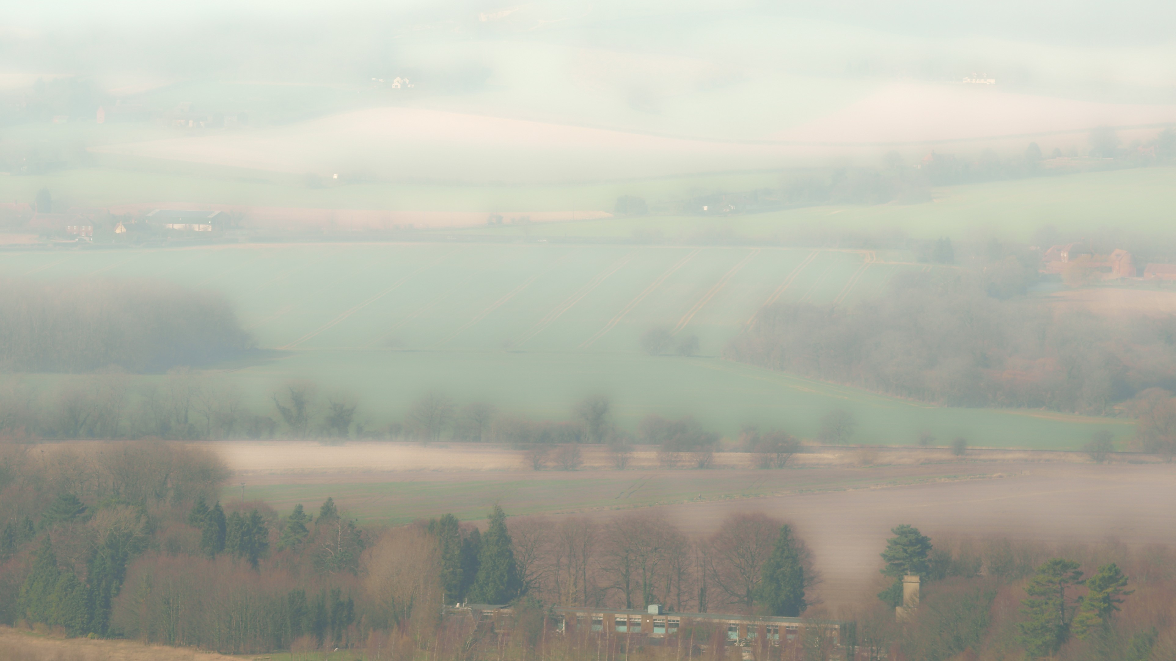 17-Feb Nature's Silent Prelude to Spring Section Image