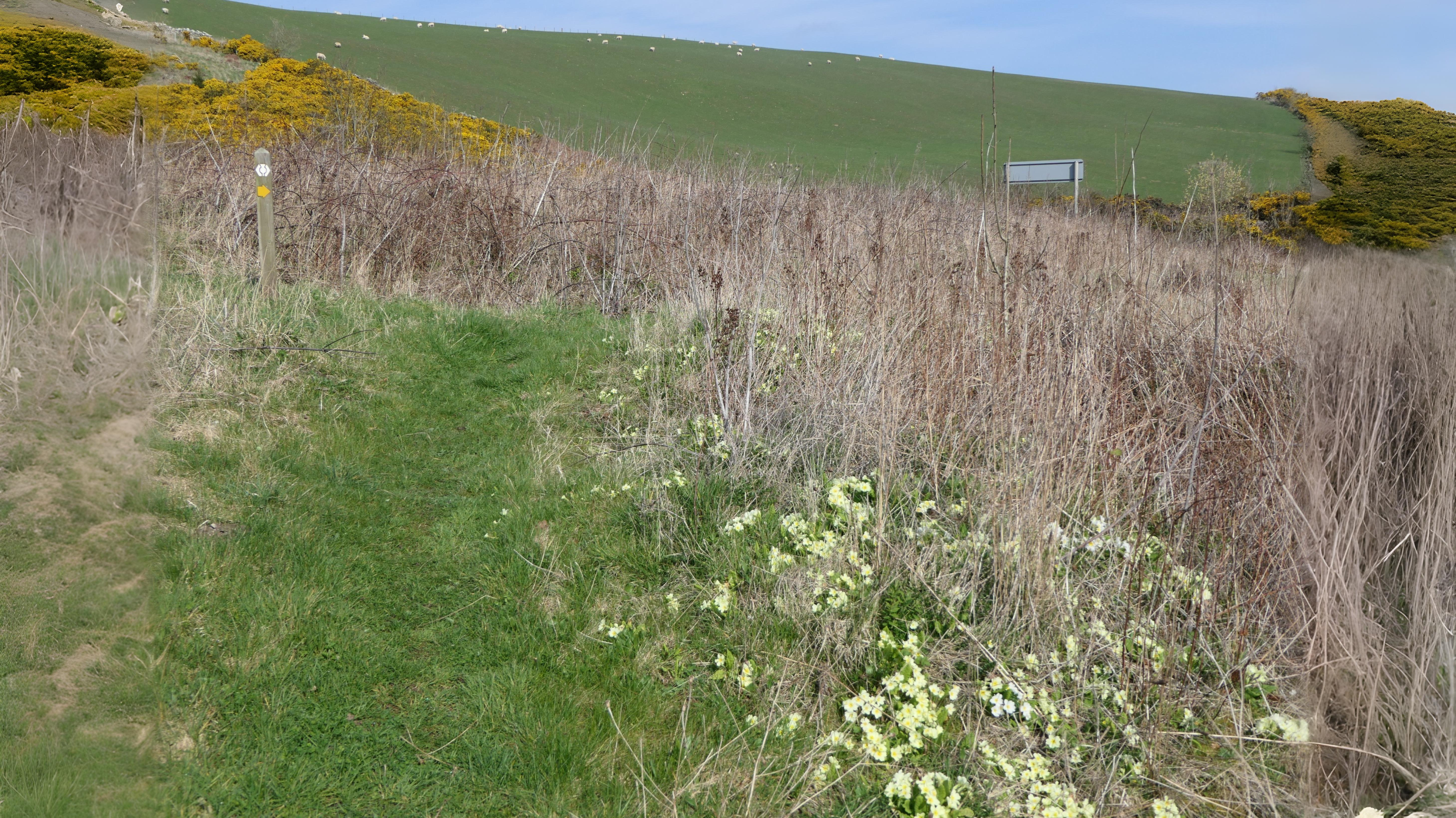19-Apr London’s Primrose Path Section Image
