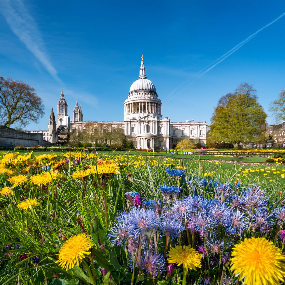 20-Apr London’s Wildflower Wonders