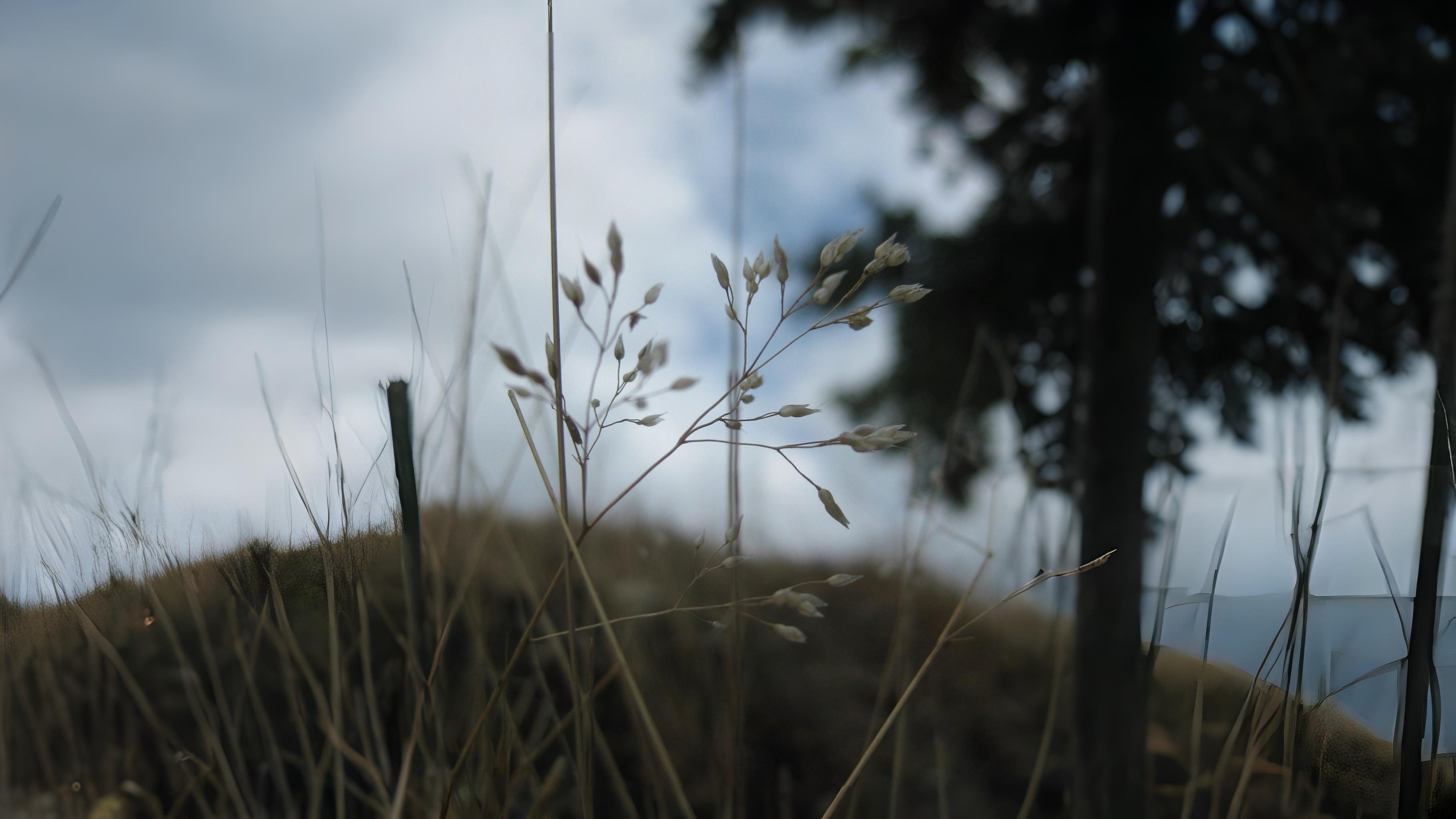 16-May London’s Secret Grasses Section Image