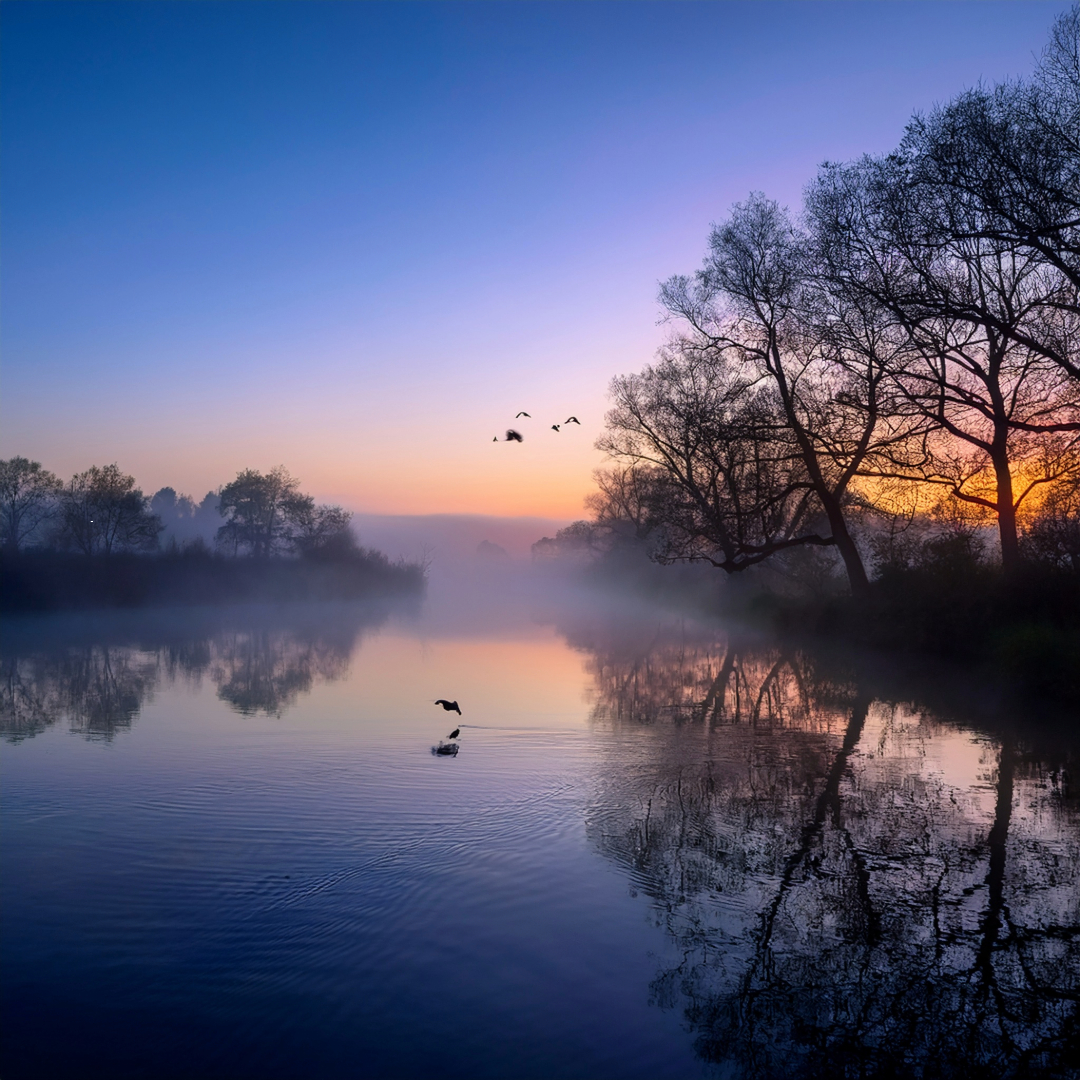 24-May Bats at Dusk & Otters at Dawn: London’s Night-time Wild
