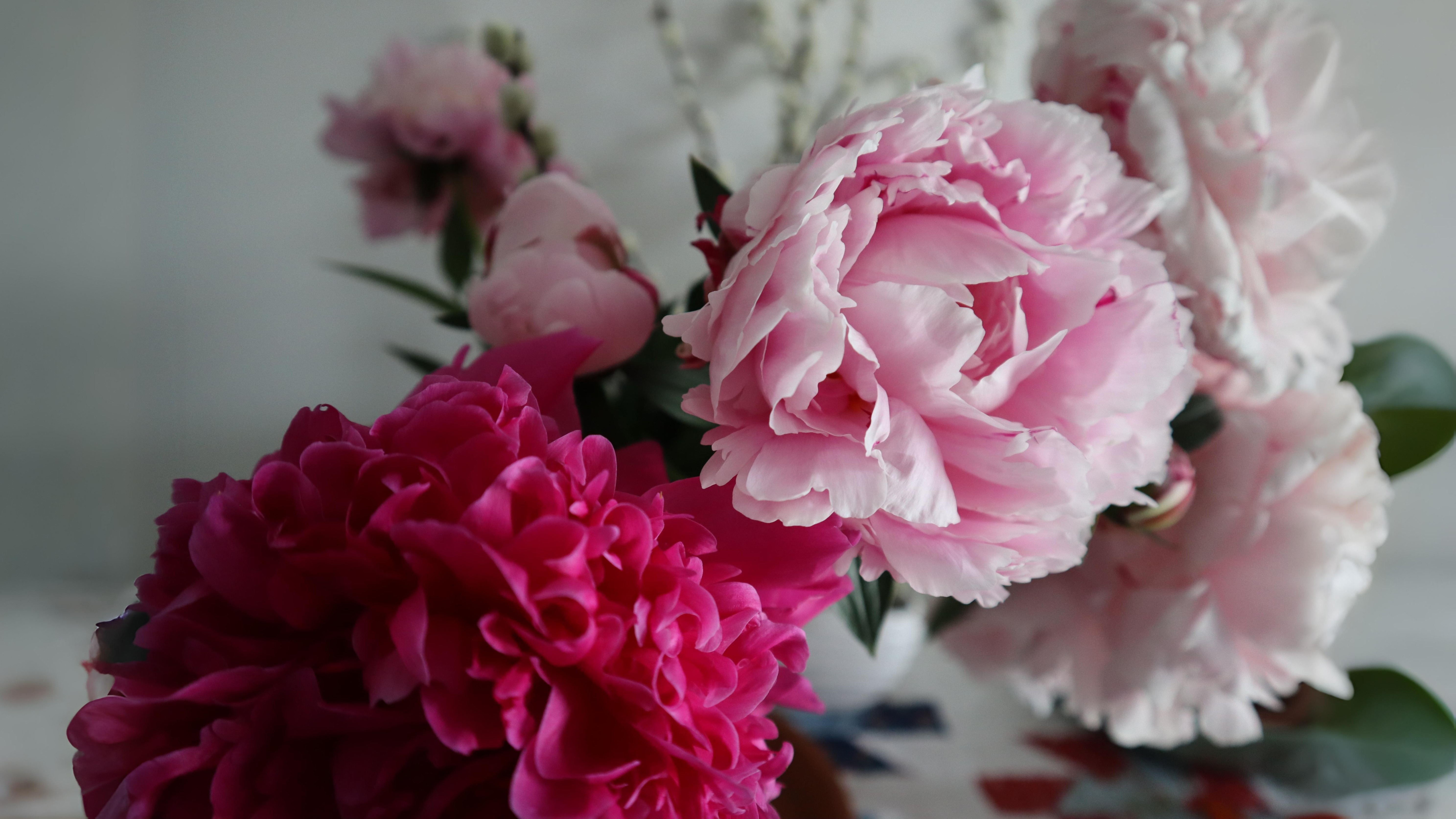 31-May Scent & Sensibility: London’s Forgotten Perfume Garden Section Image