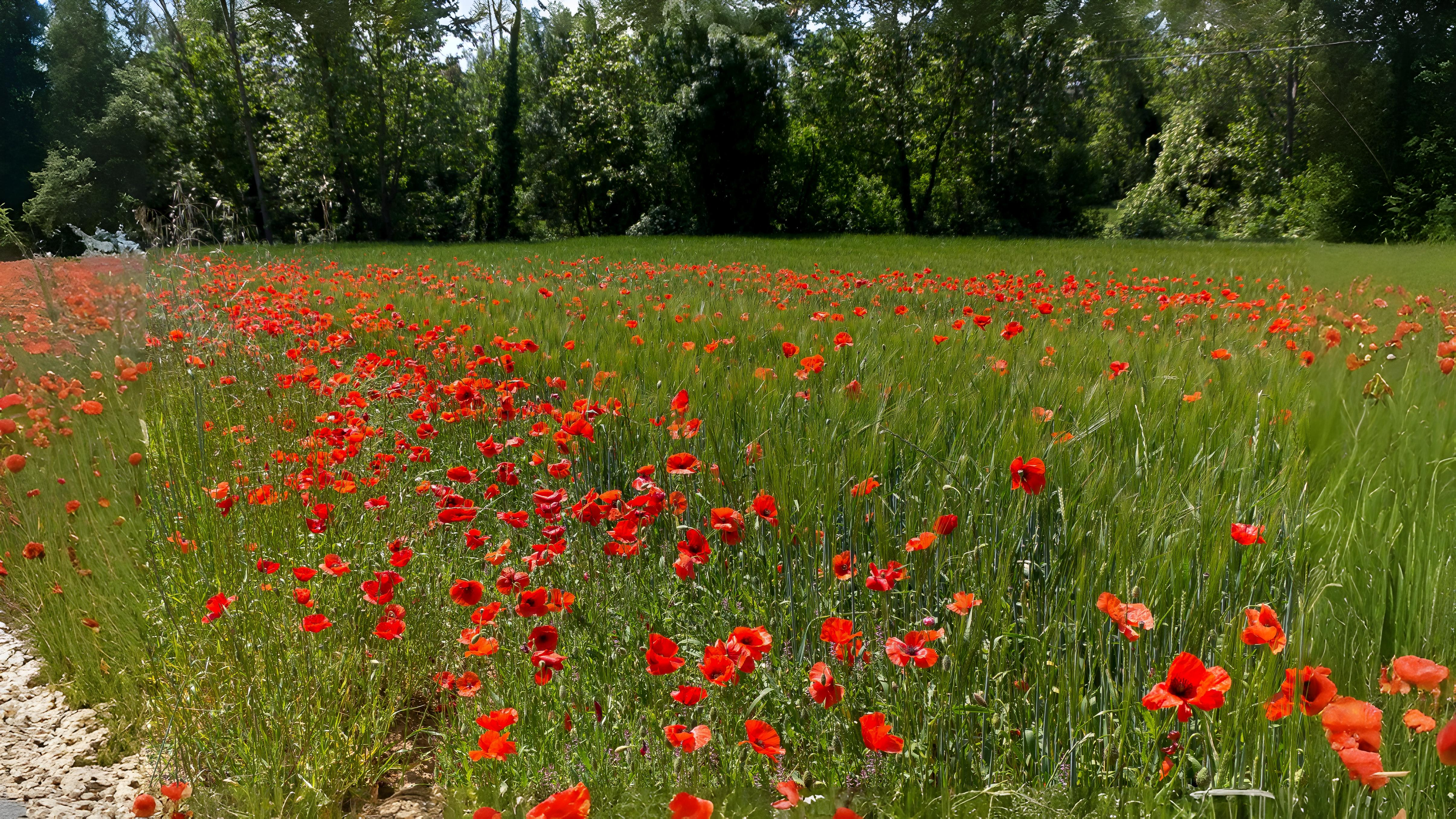 03 June London’s Untamed June Section Image