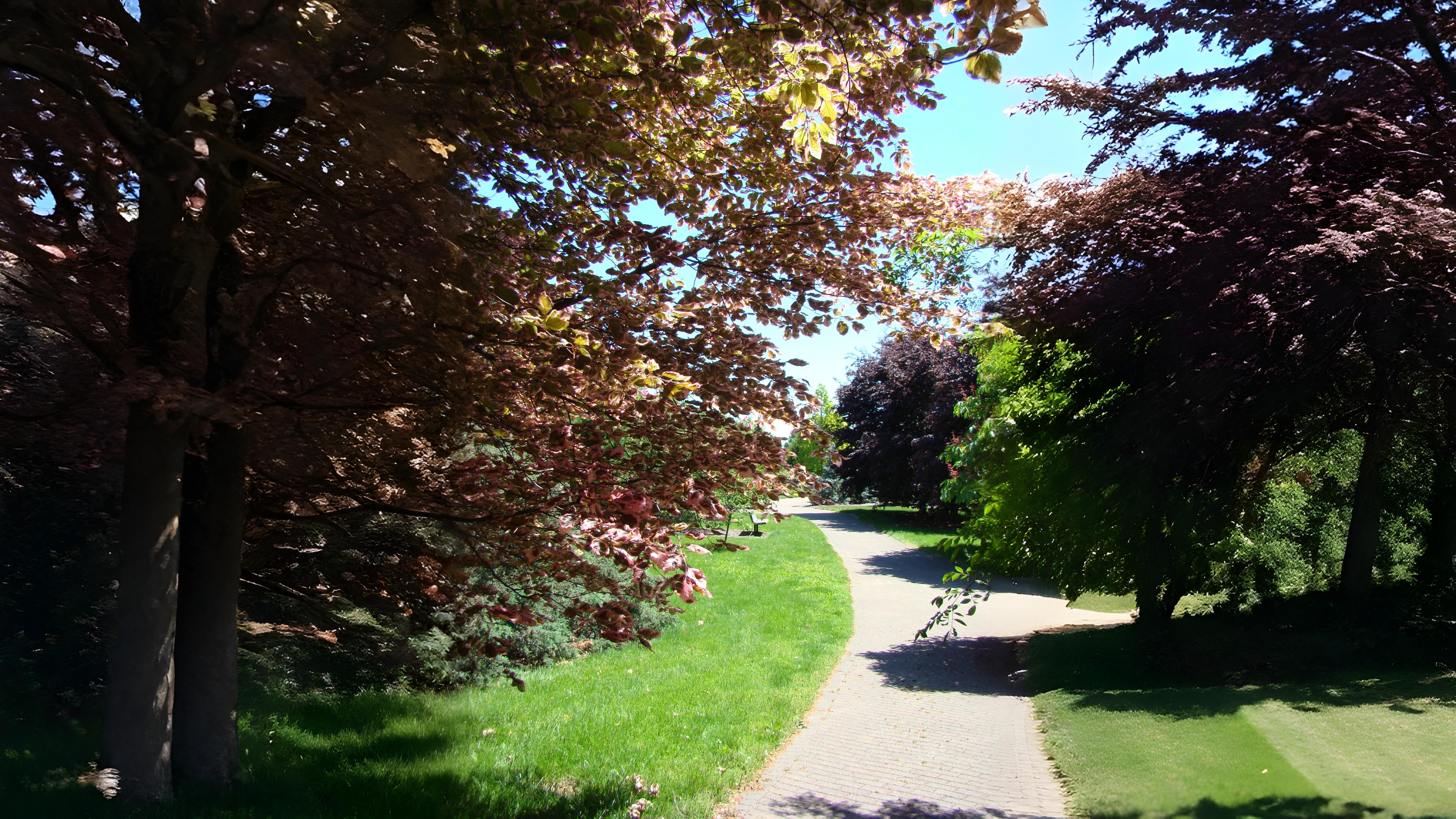 17-June London’s Living Canopy Section Image