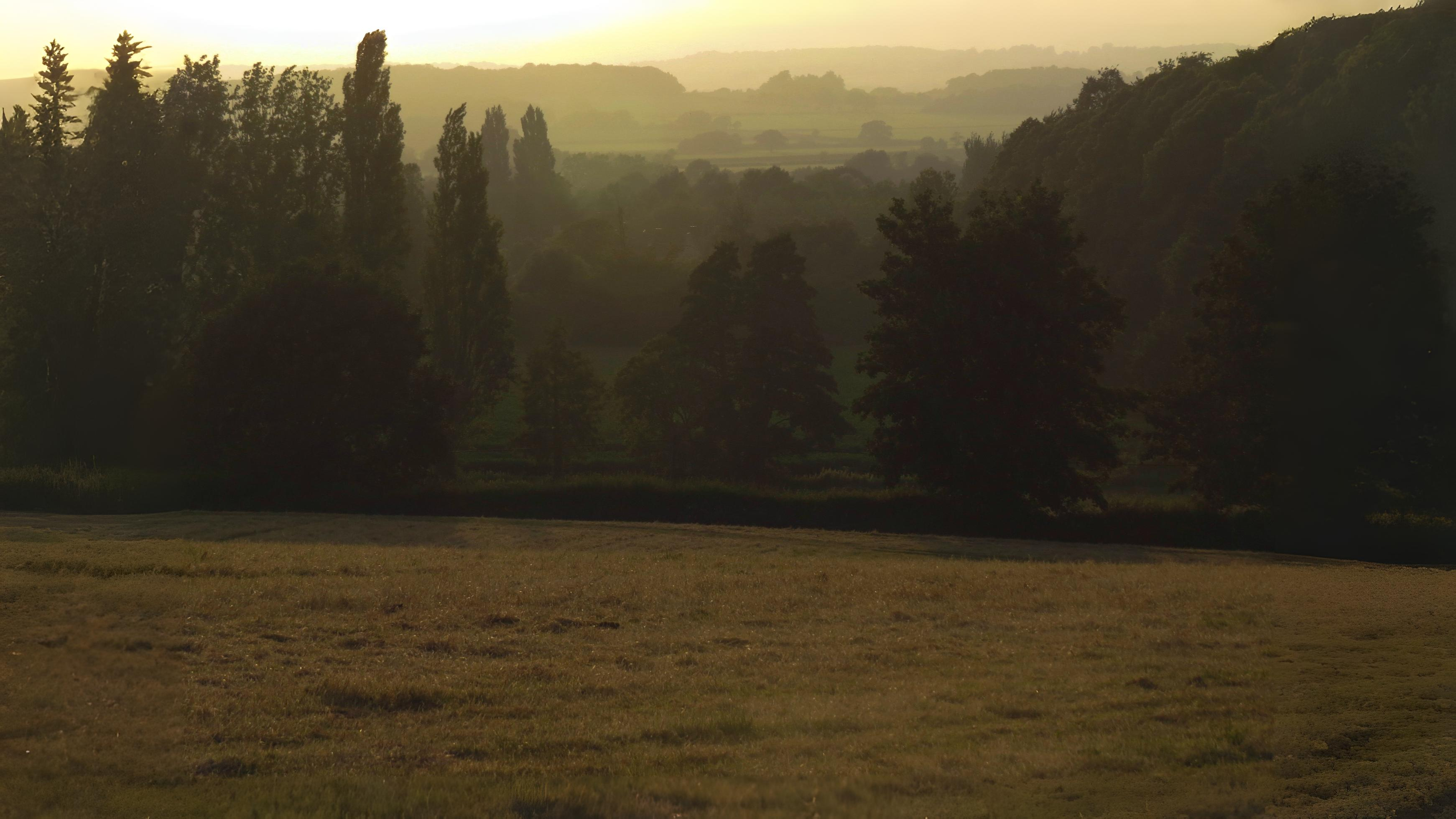 21-June London’s Solstice Wildlife Section Image