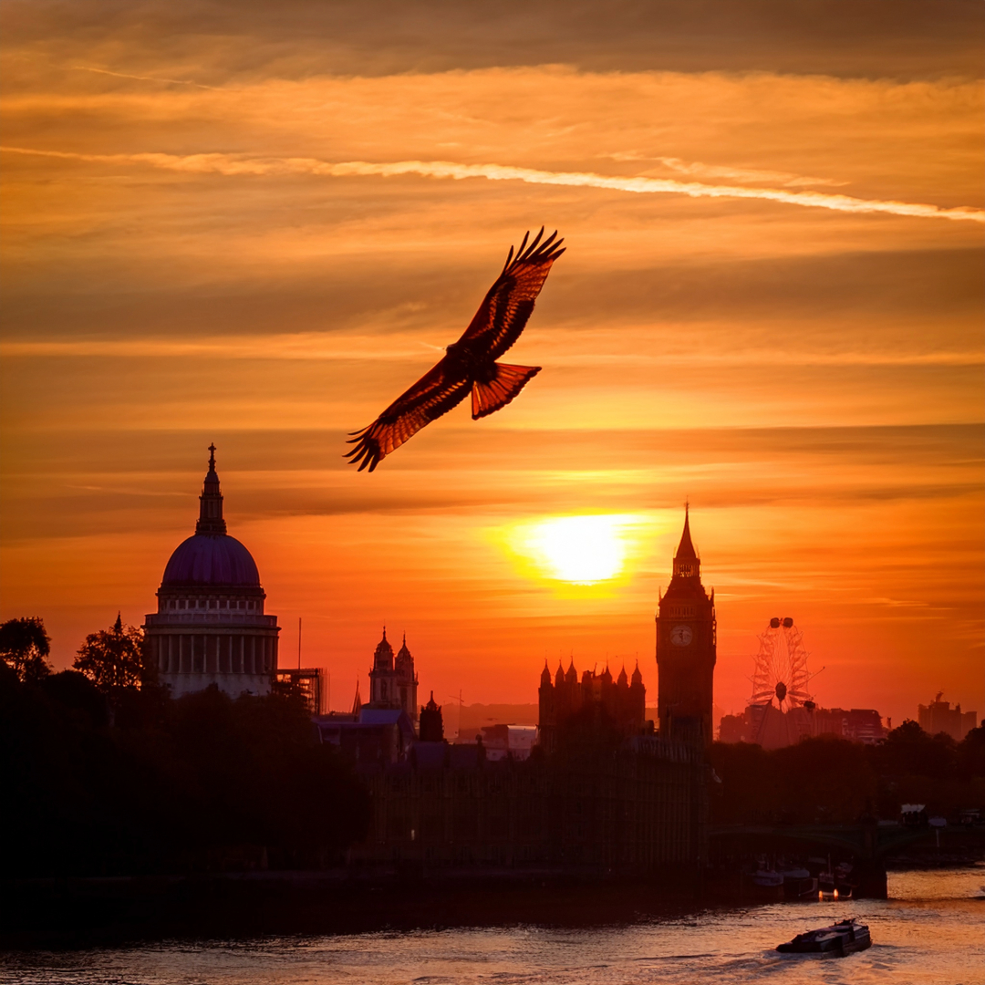 04-July London’s July Migrations