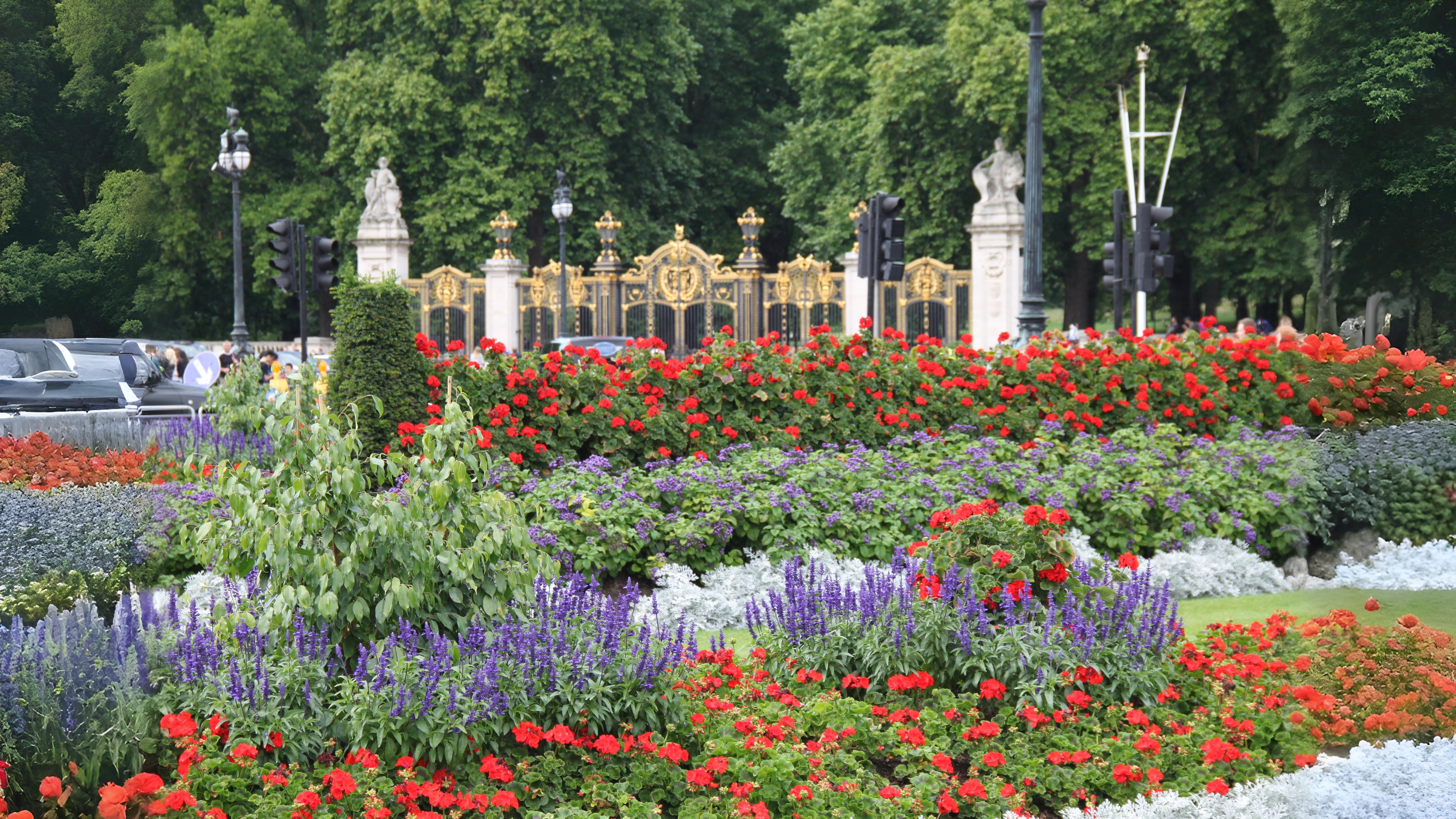 21-July London in Bloom: July’s Silent Splendour Section Image