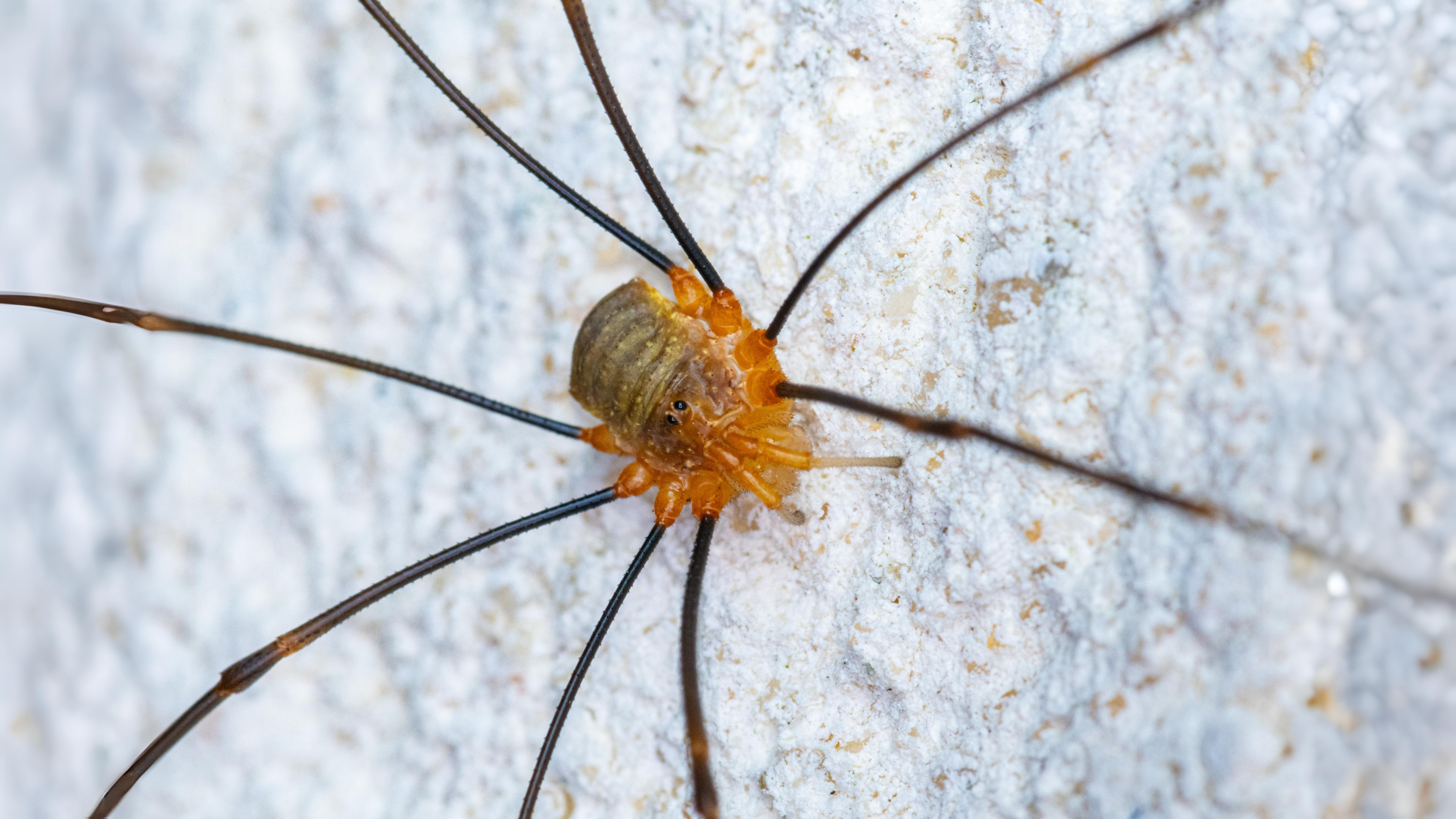22-Aug August's Hidden Wonders Section Image