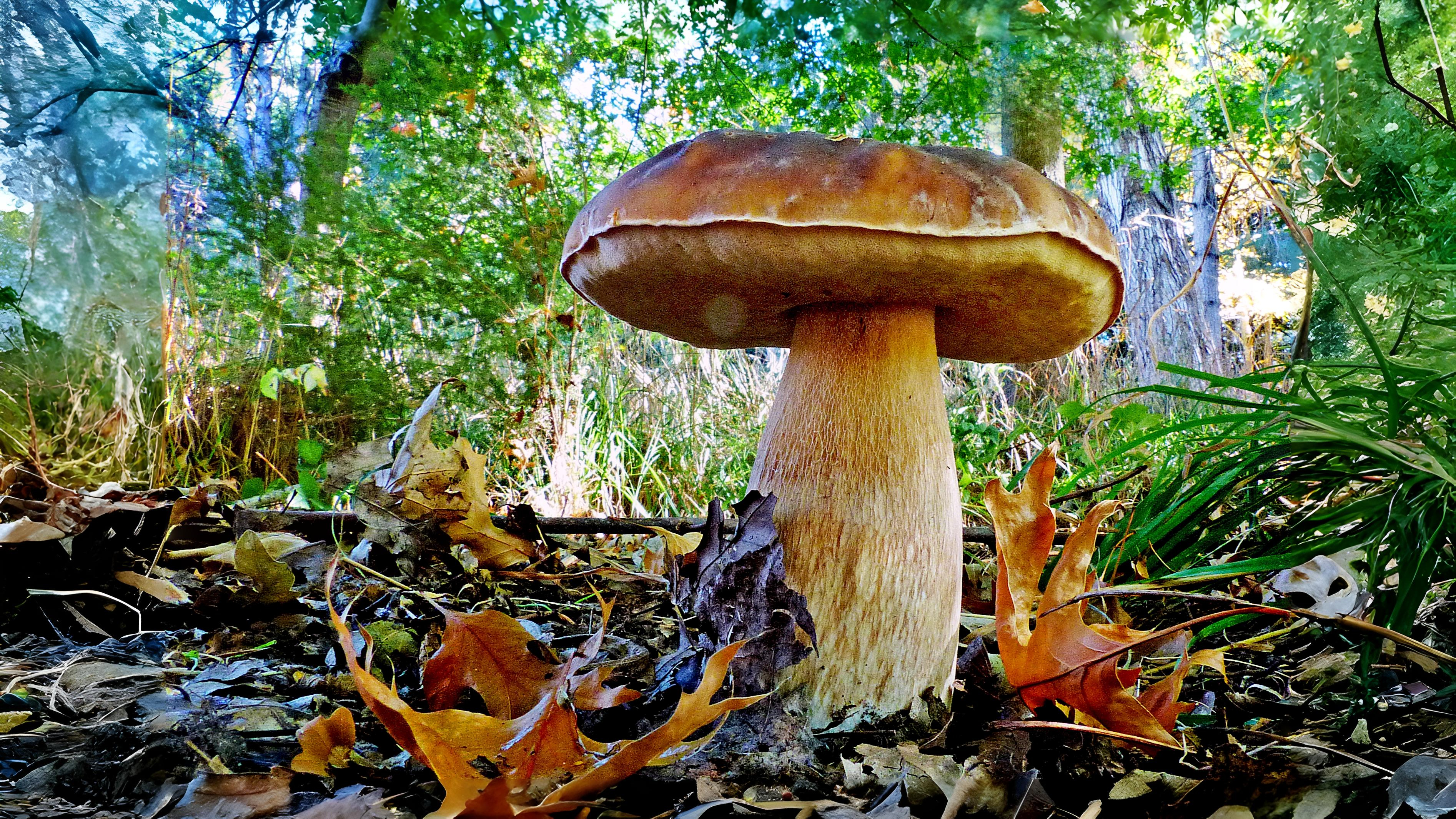 01-Sept End to Autumn's Beginning Section Image
