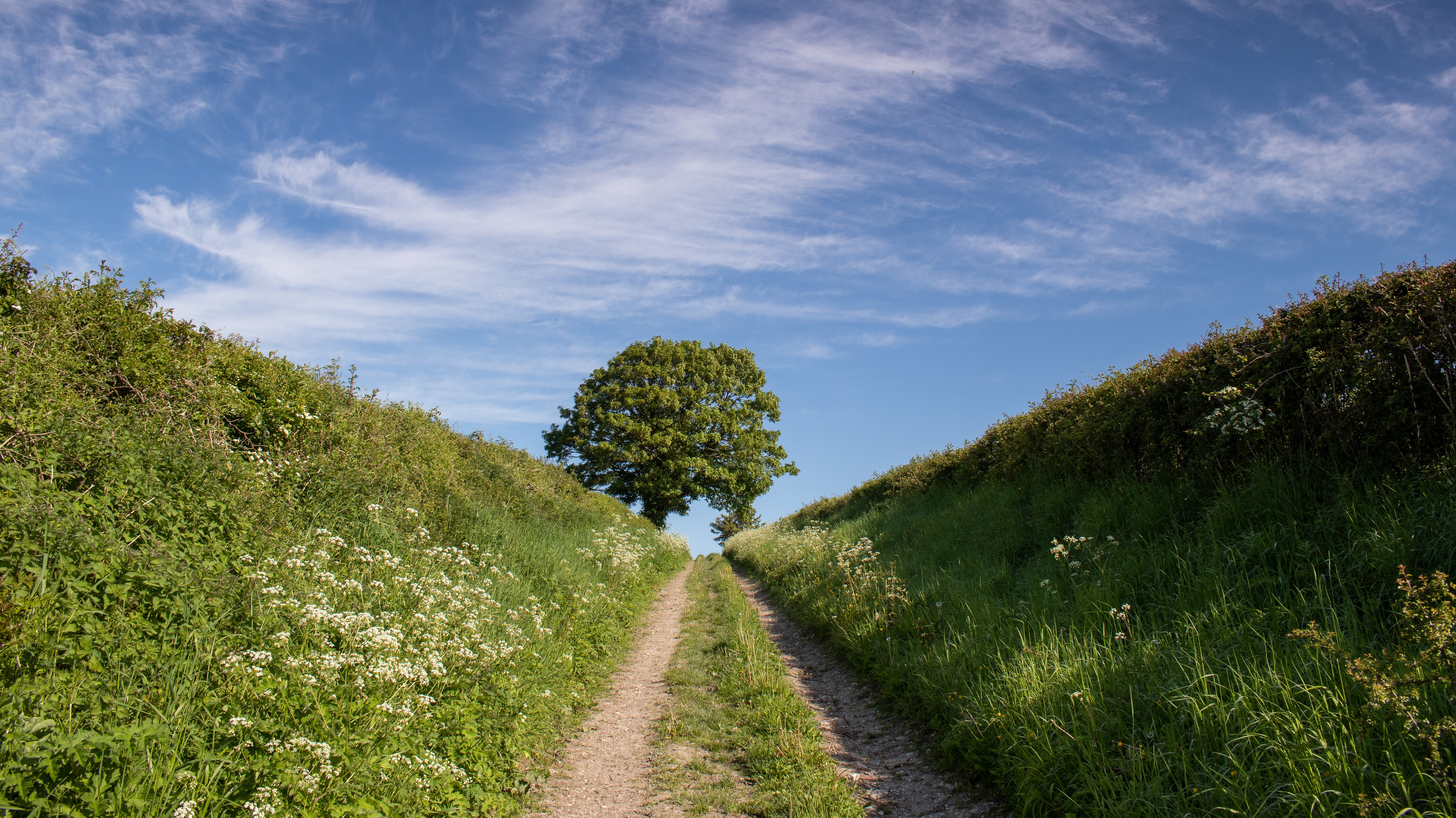 05-Sept Secrets of the Hedgerow Section Image