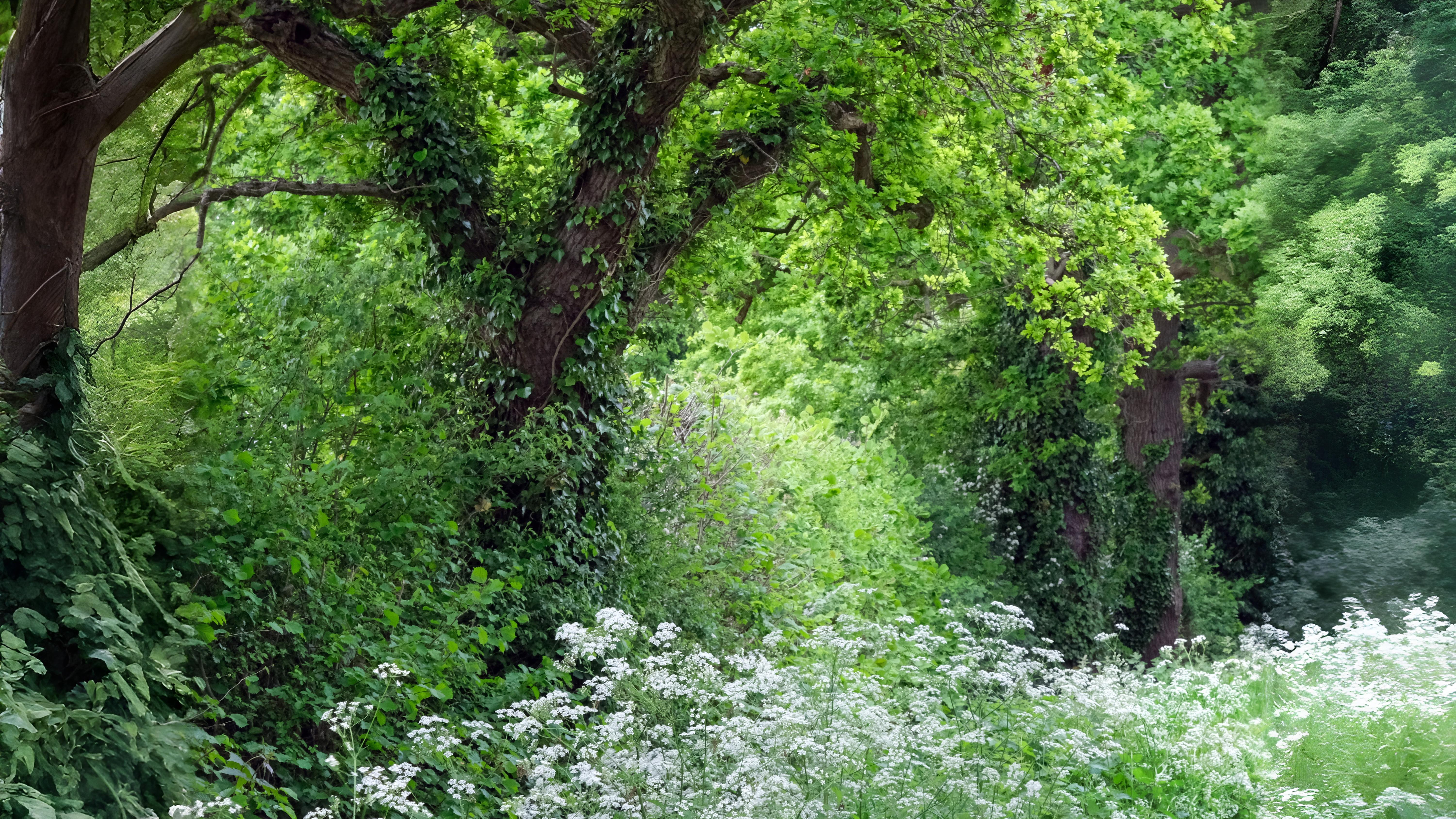 05-Sept Secrets of the Hedgerow Section Image
