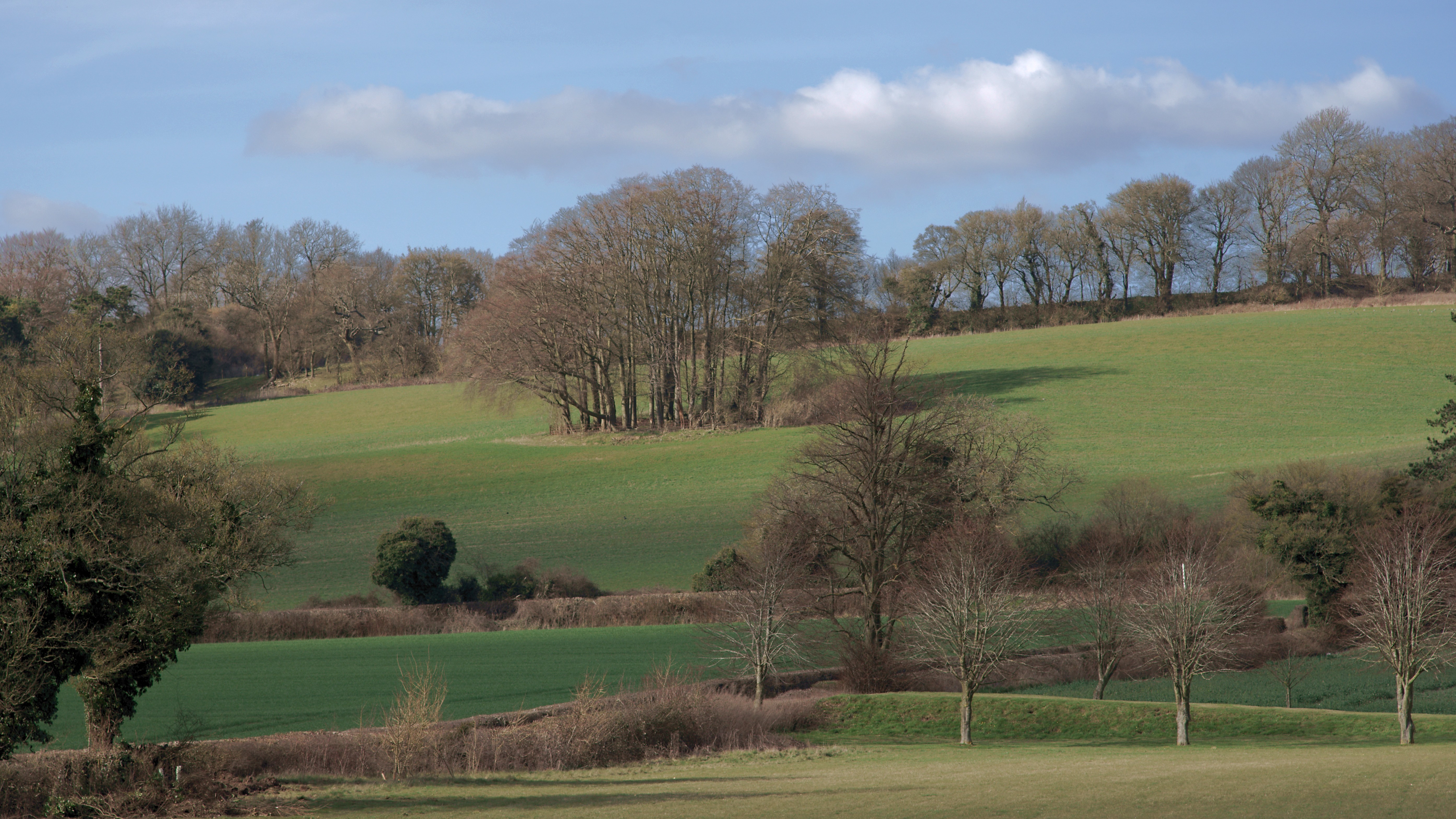 05-Sept Secrets of the Hedgerow Section Image
