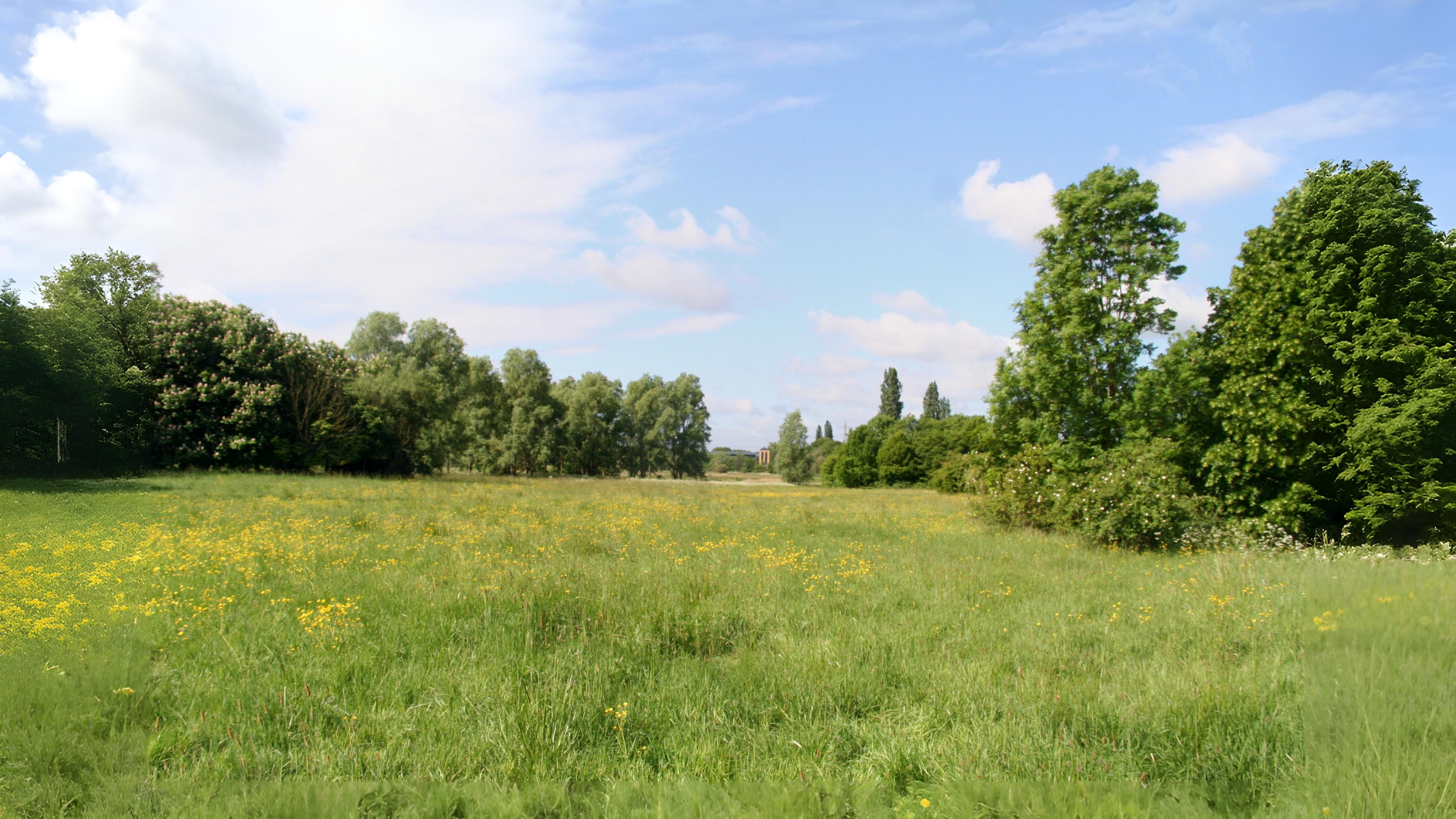 05-Sept Secrets of the Hedgerow Section Image