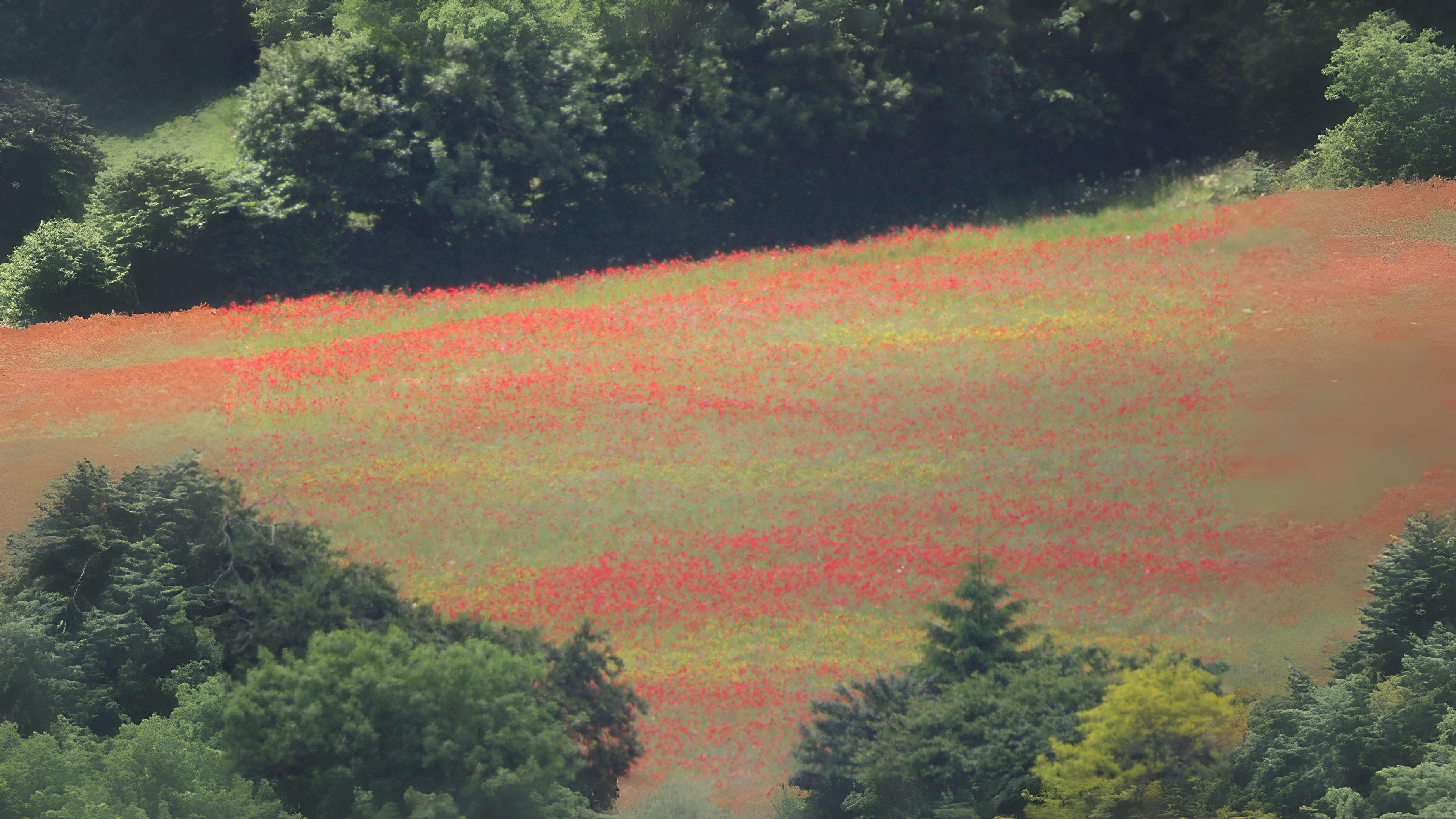 09-Sept September’s Subtle Palette Section Image