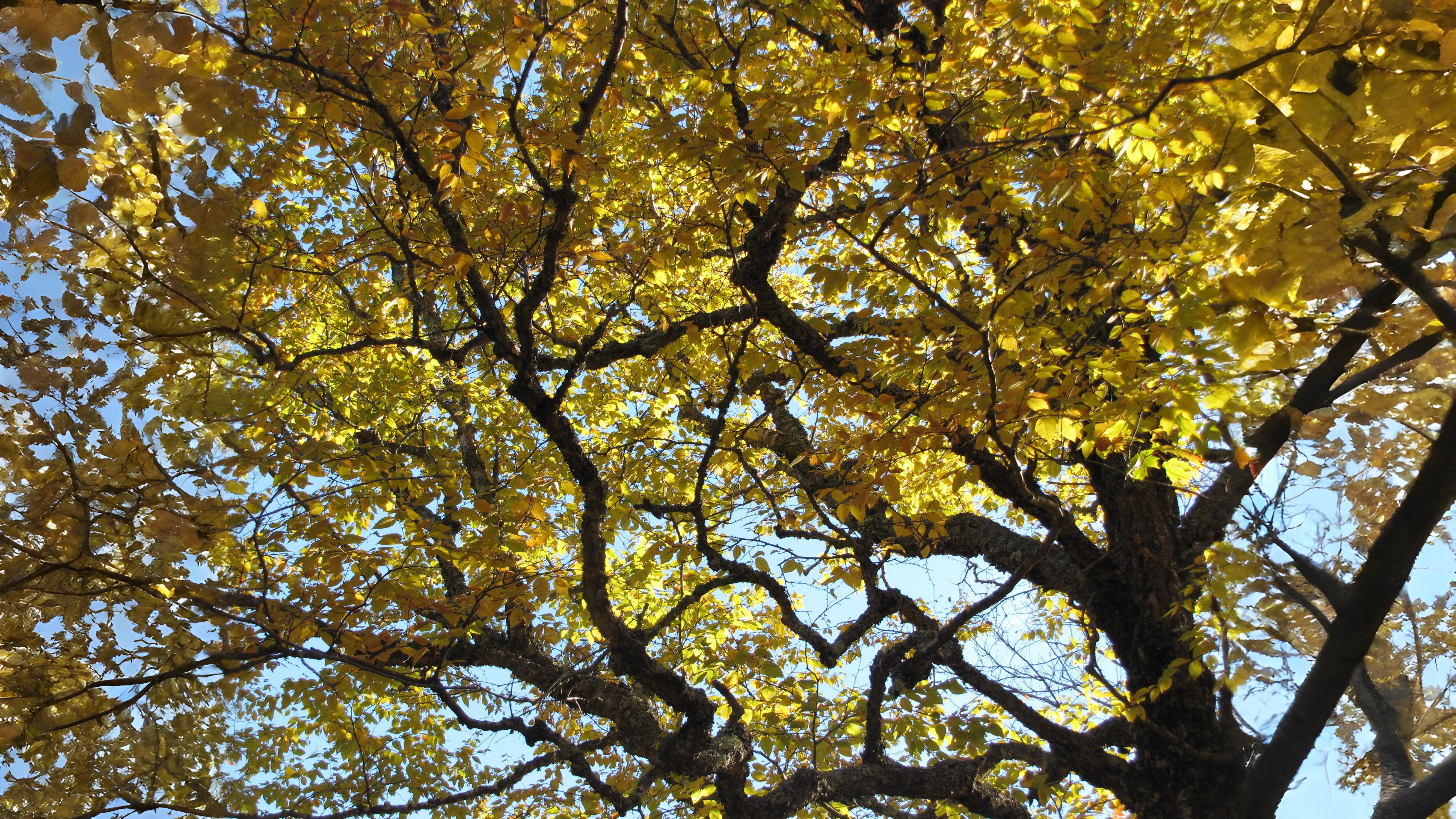 10-Sept September’s Shifting Shades Section Image