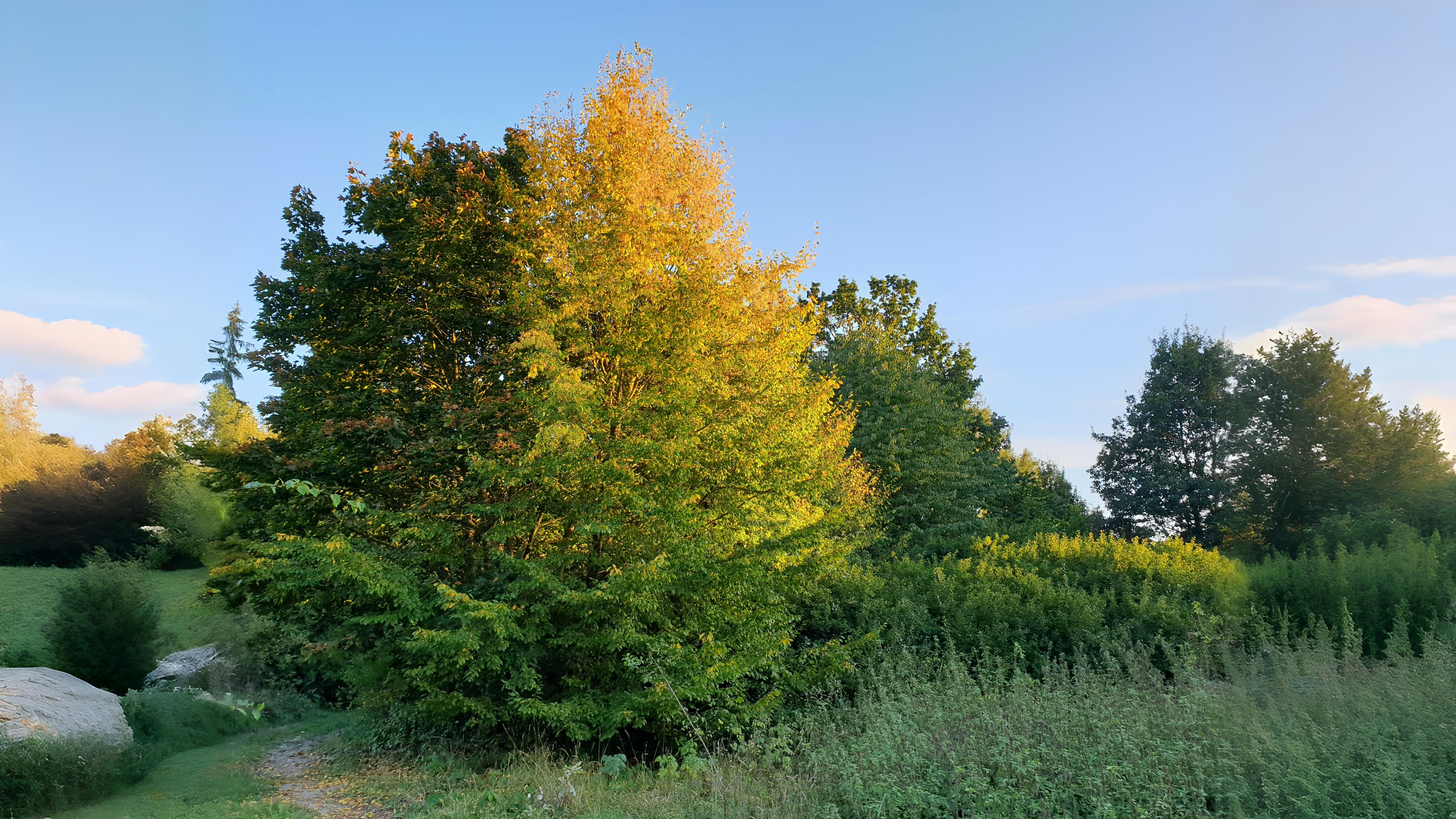 10-Sept September’s Shifting Shades Section Image