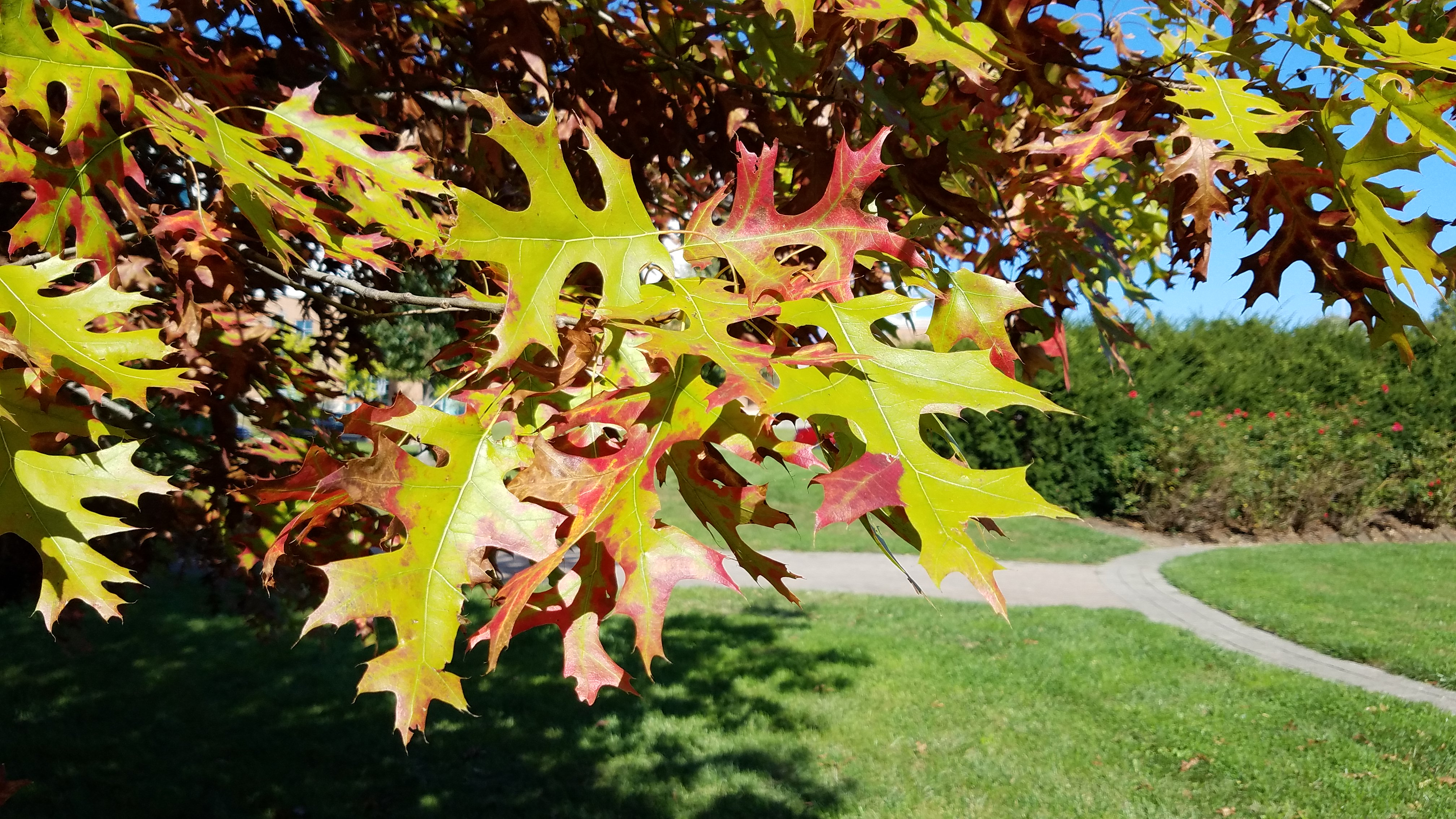 10-Sept September’s Shifting Shades Section Image