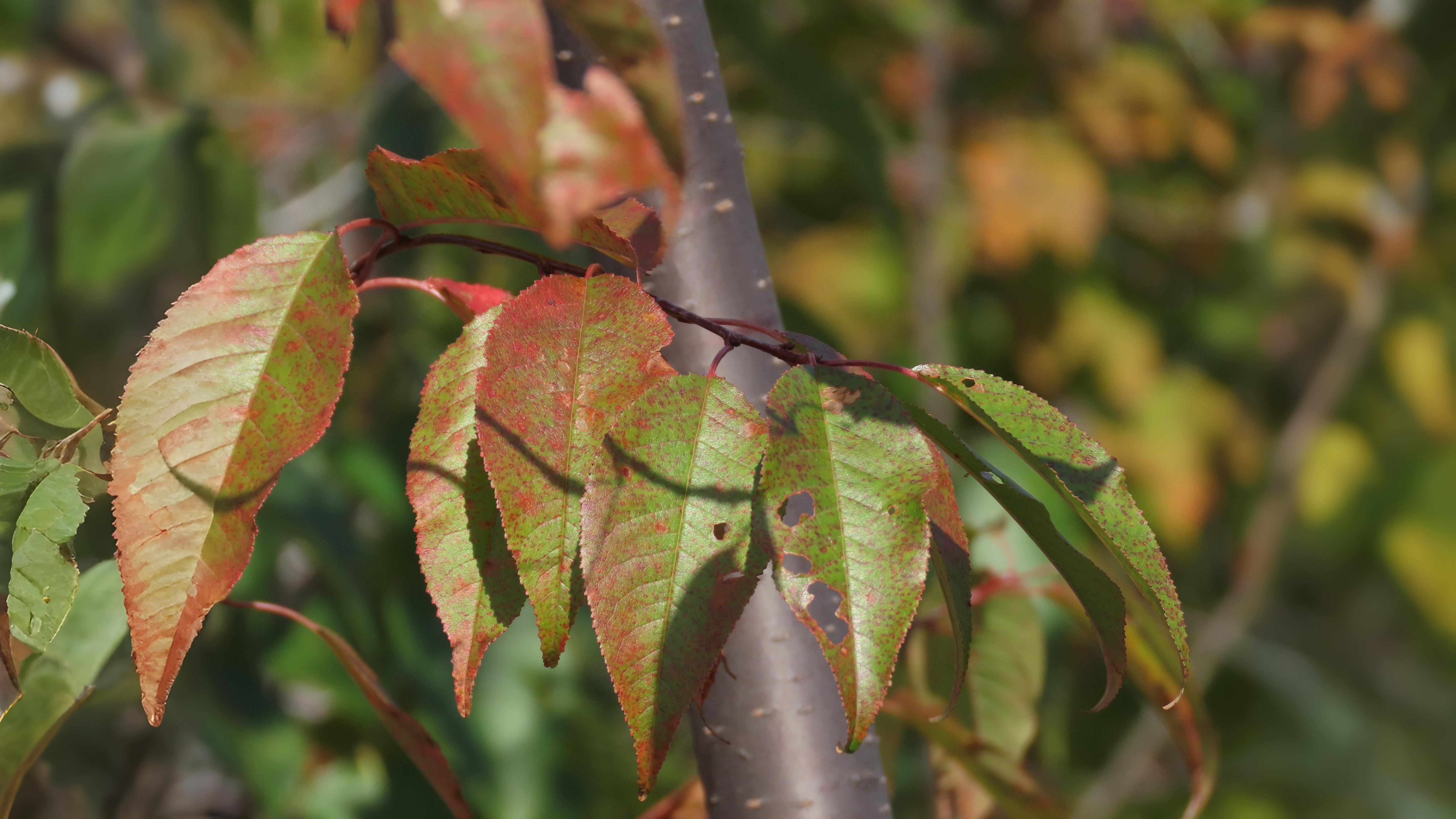 10-Sept September’s Shifting Shades Section Image