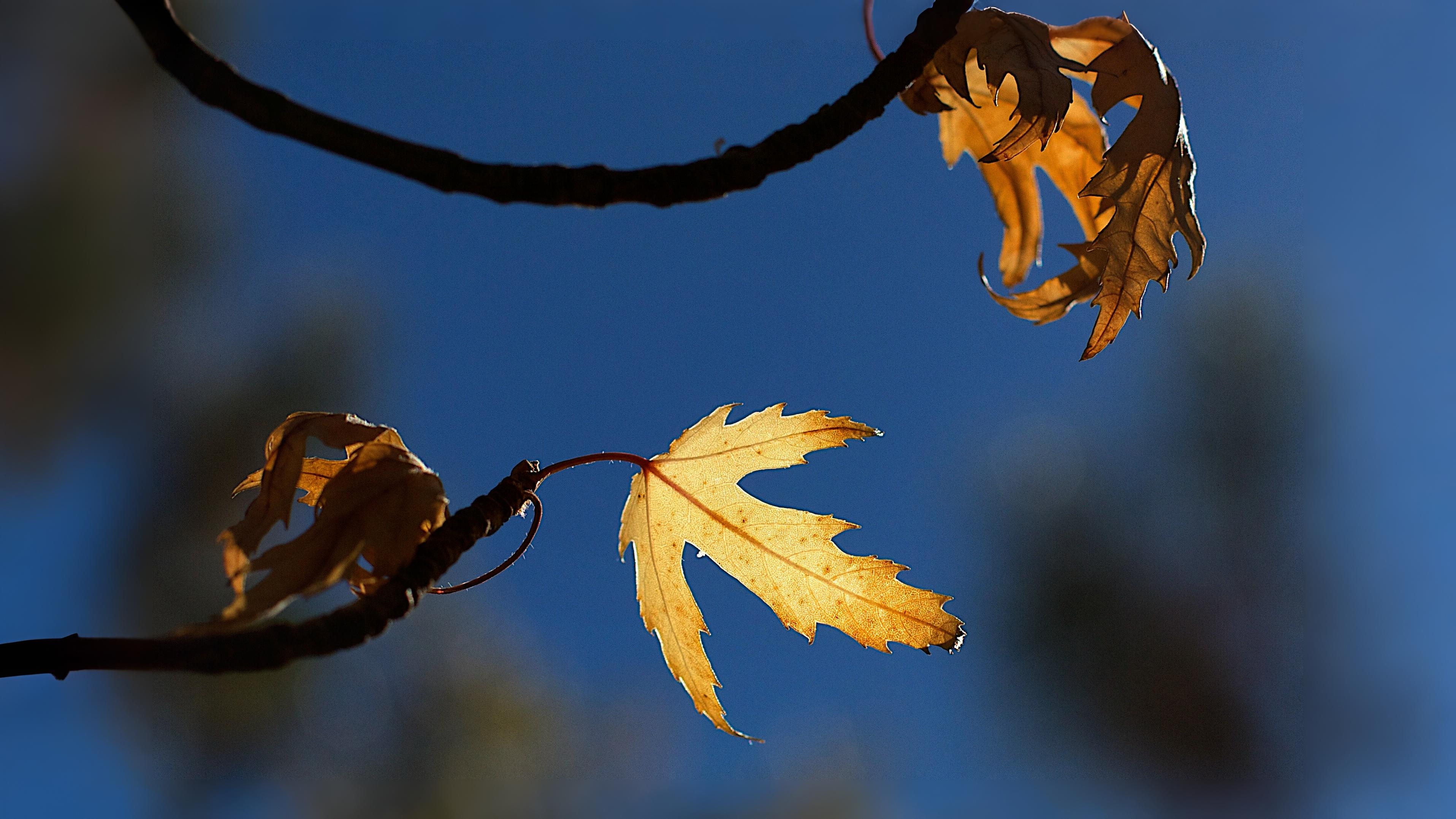 10-Sept September’s Shifting Shades Section Image