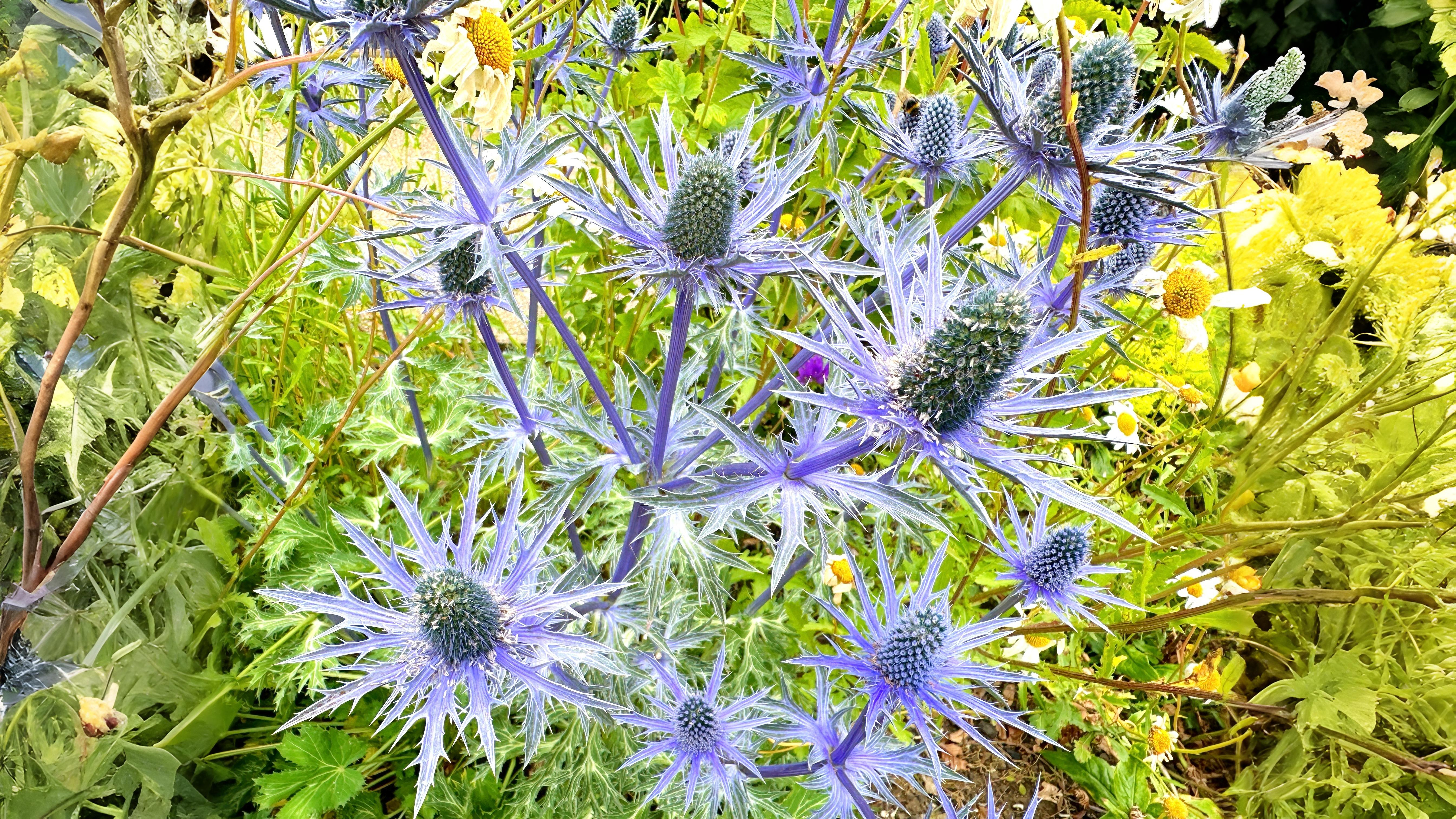 23-Sept September’s Garden Jewels Section Image