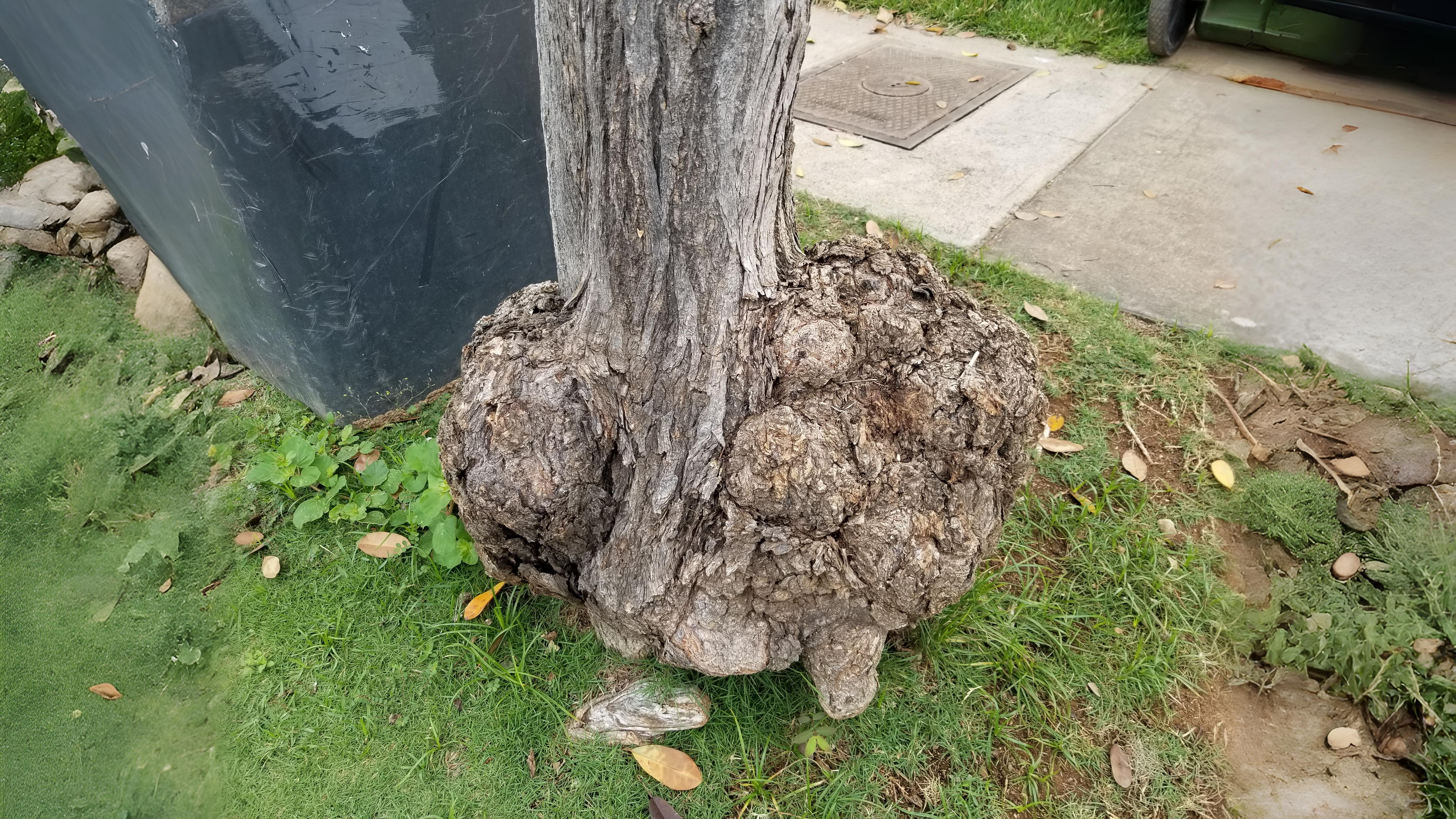 27-Sept September’s Hidden Invaders Section Image