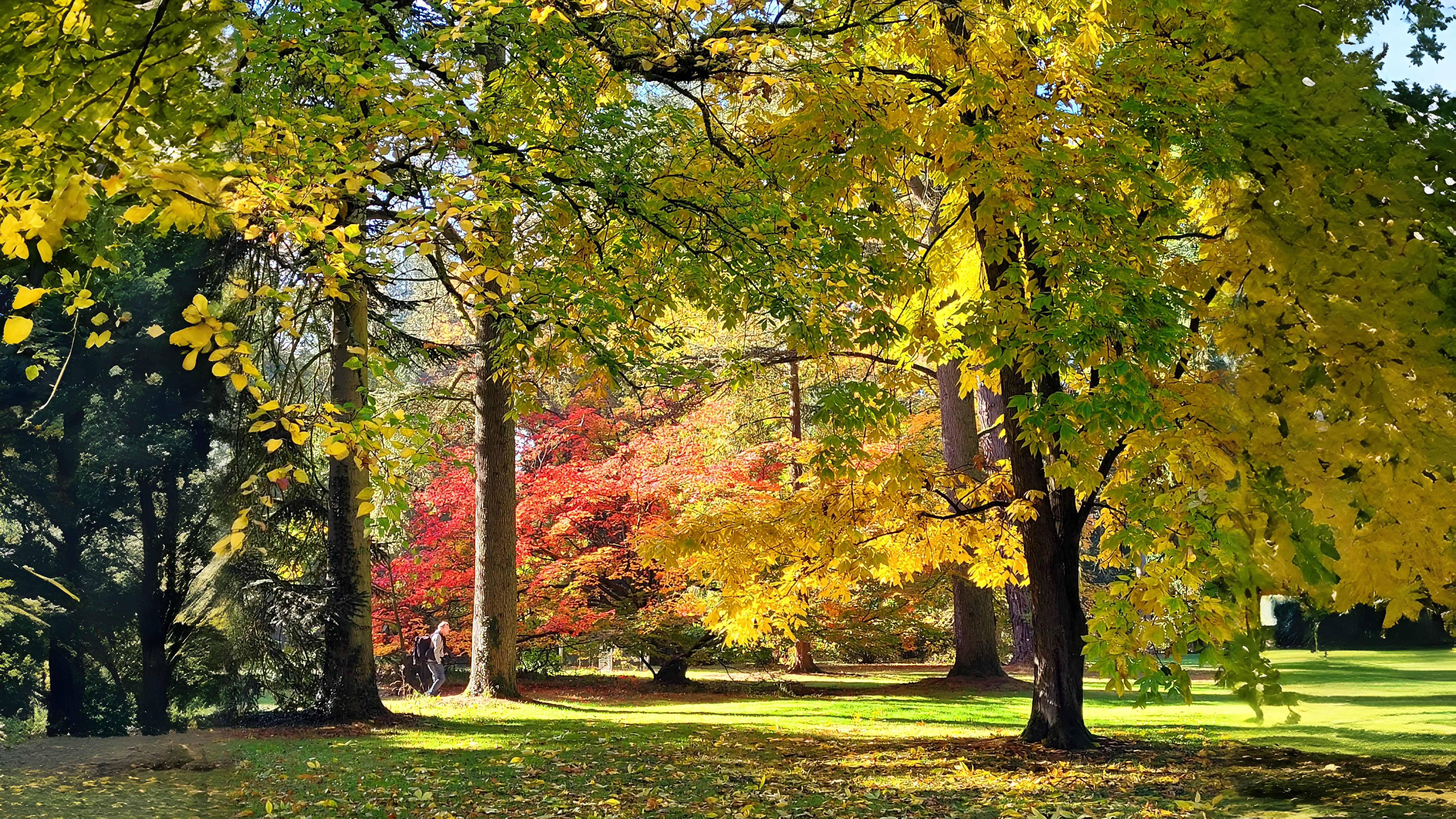 01-Oct Guide to Autumn Splendor Section Image