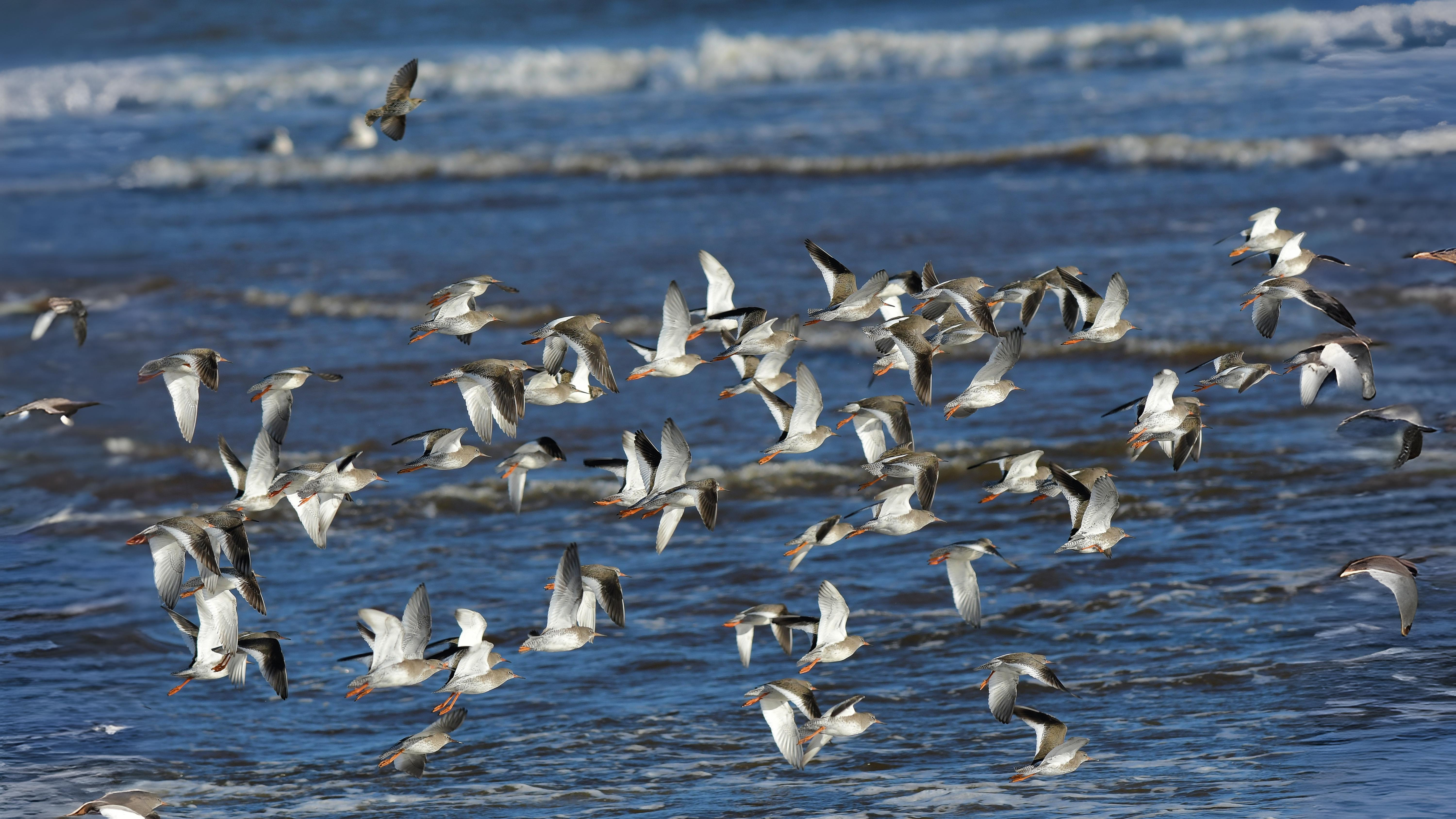 01-Oct Guide to Autumn Splendor Section Image