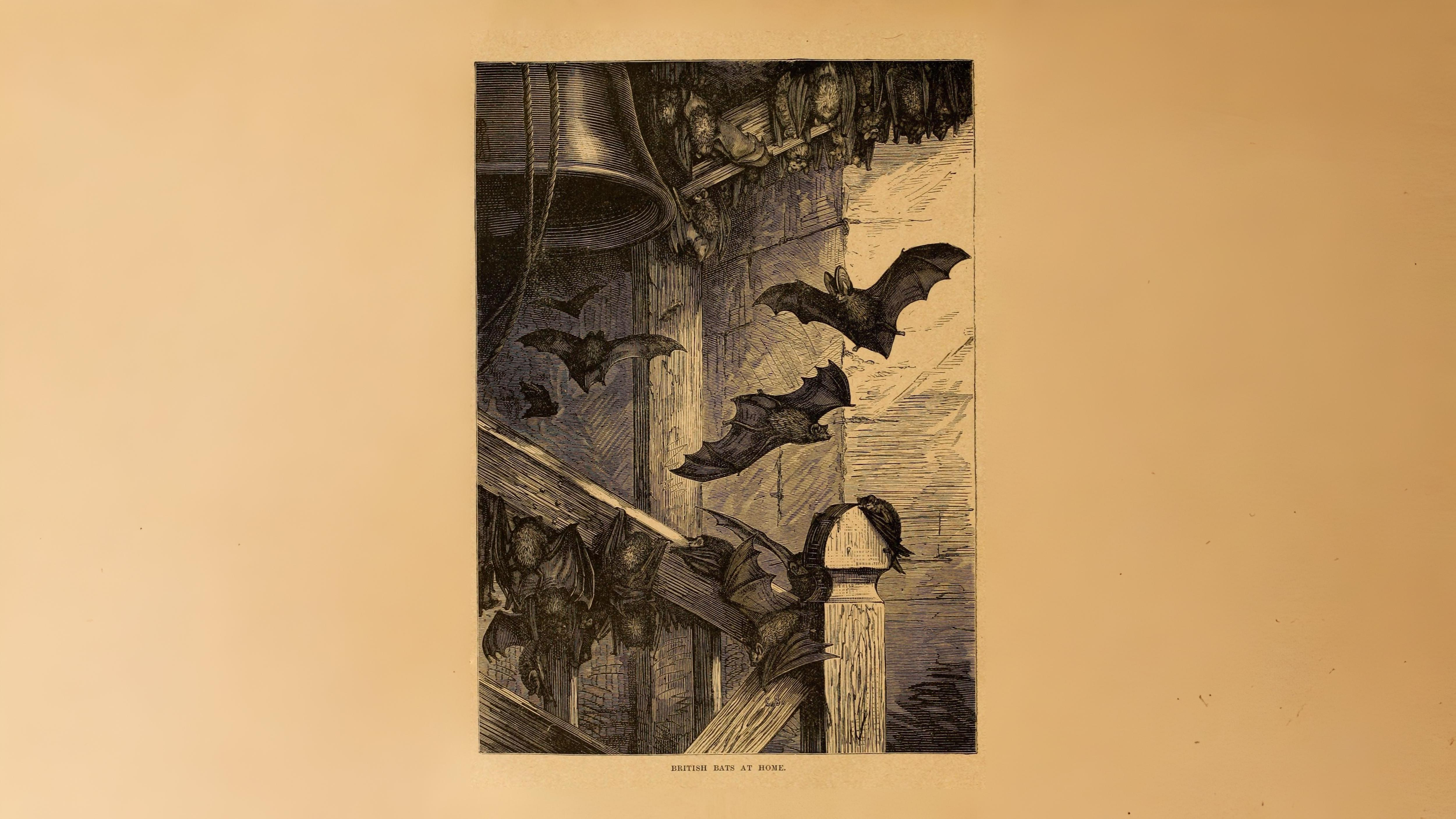 01-Oct Guide to Autumn Splendor Section Image