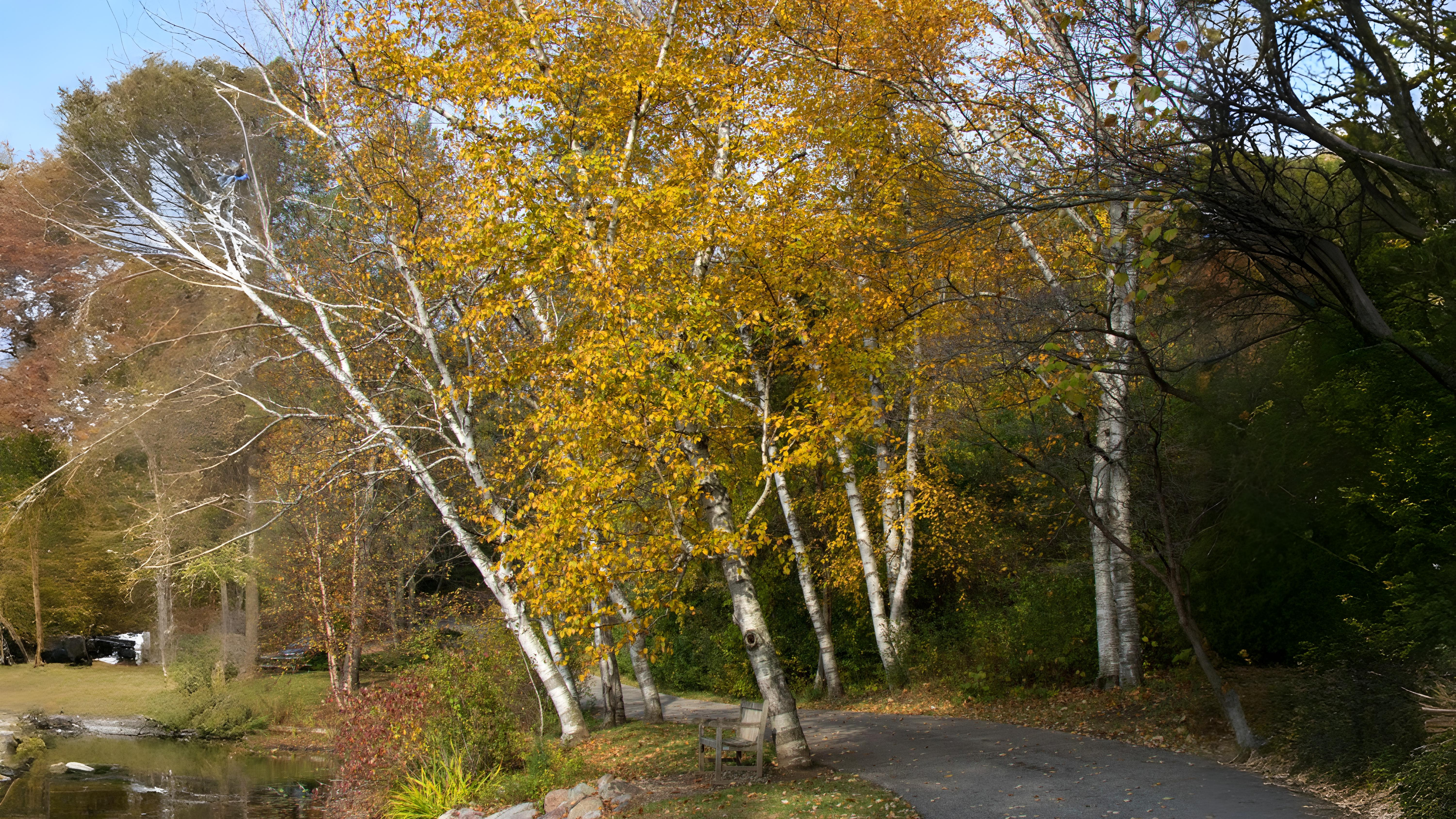 02-Oct London’s Autumn Colour Show Begins Section Image