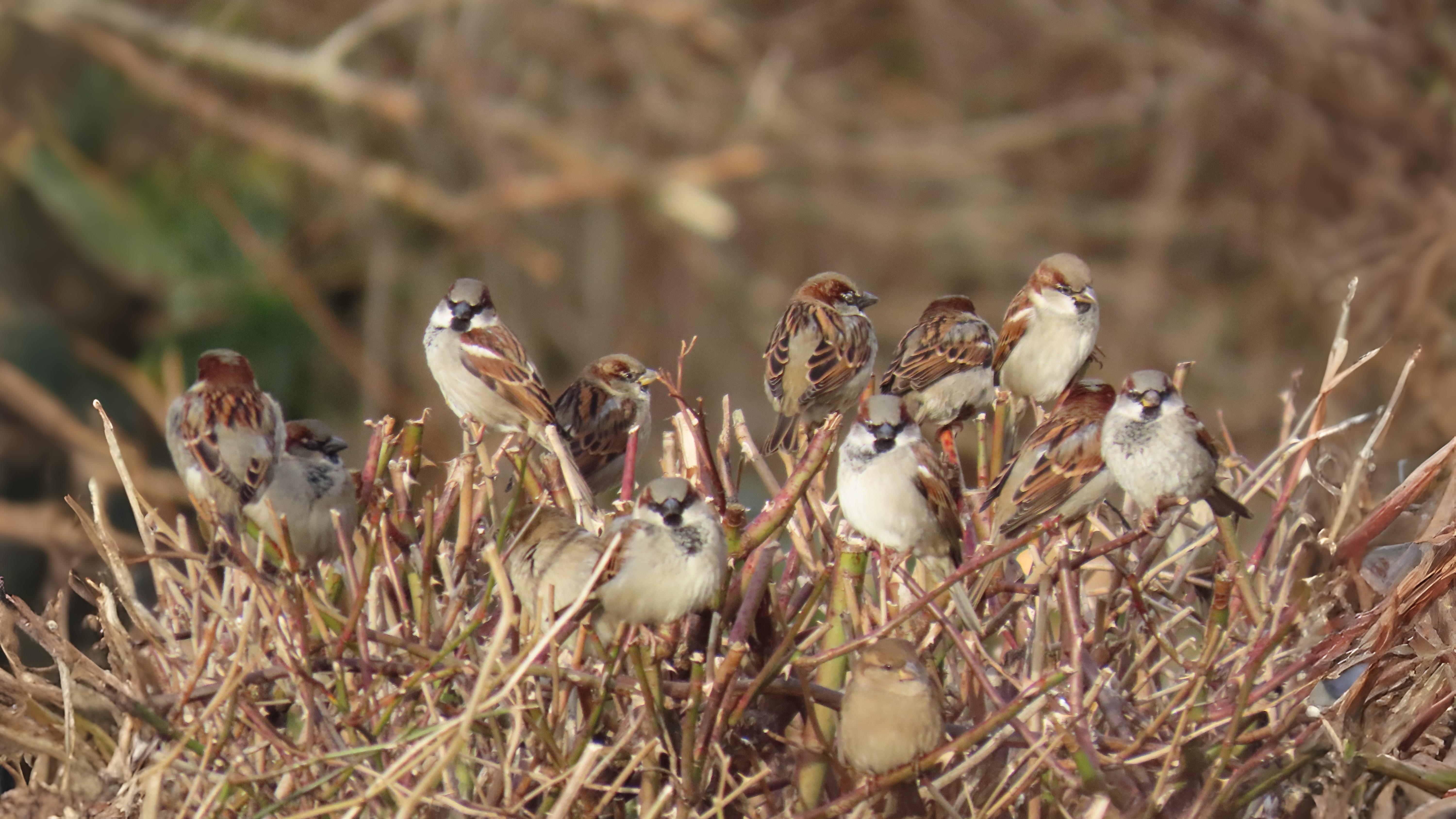 04-Oct October's Lingering Melodies Section Image