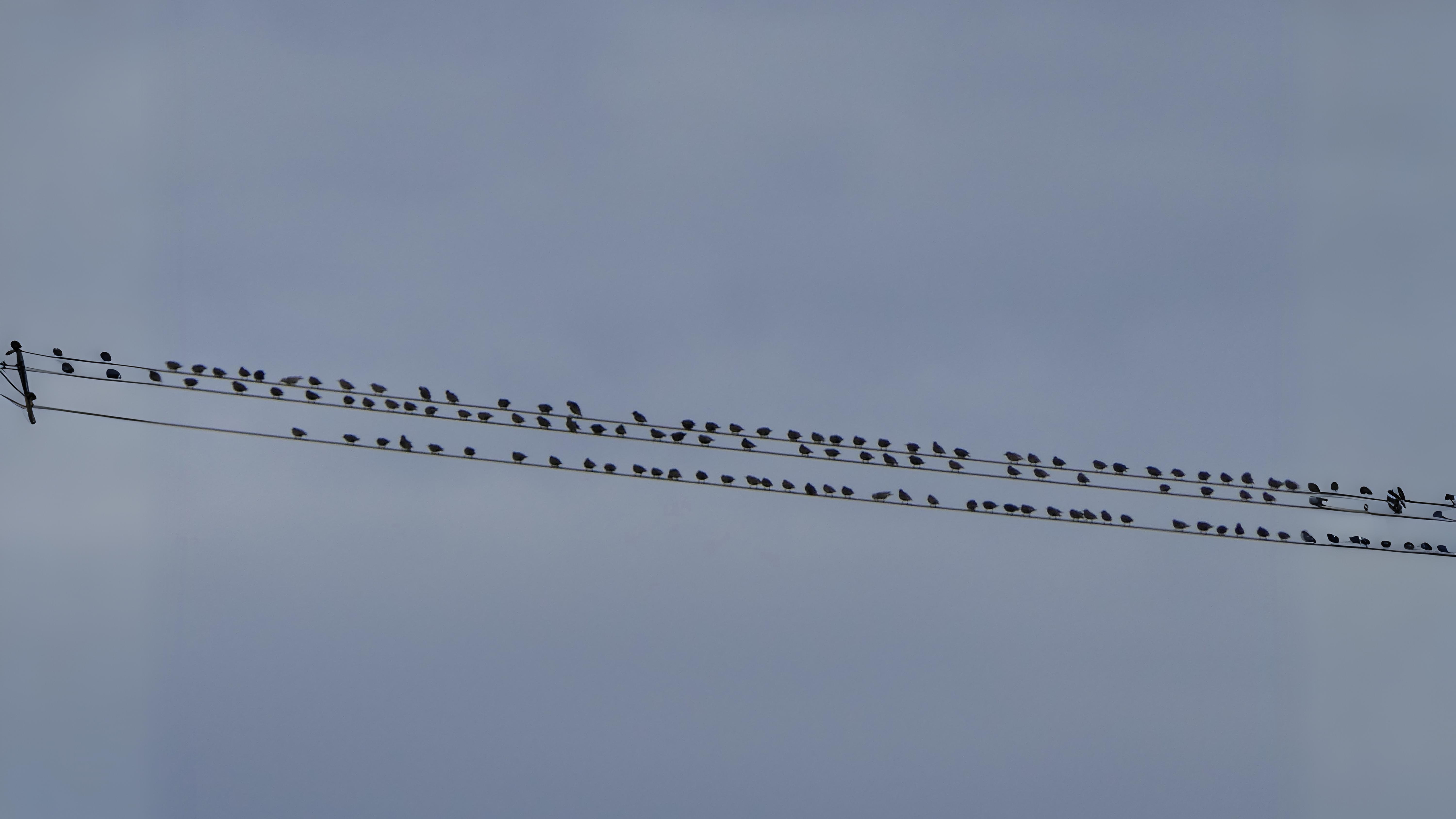 04-Oct October's Lingering Melodies Section Image