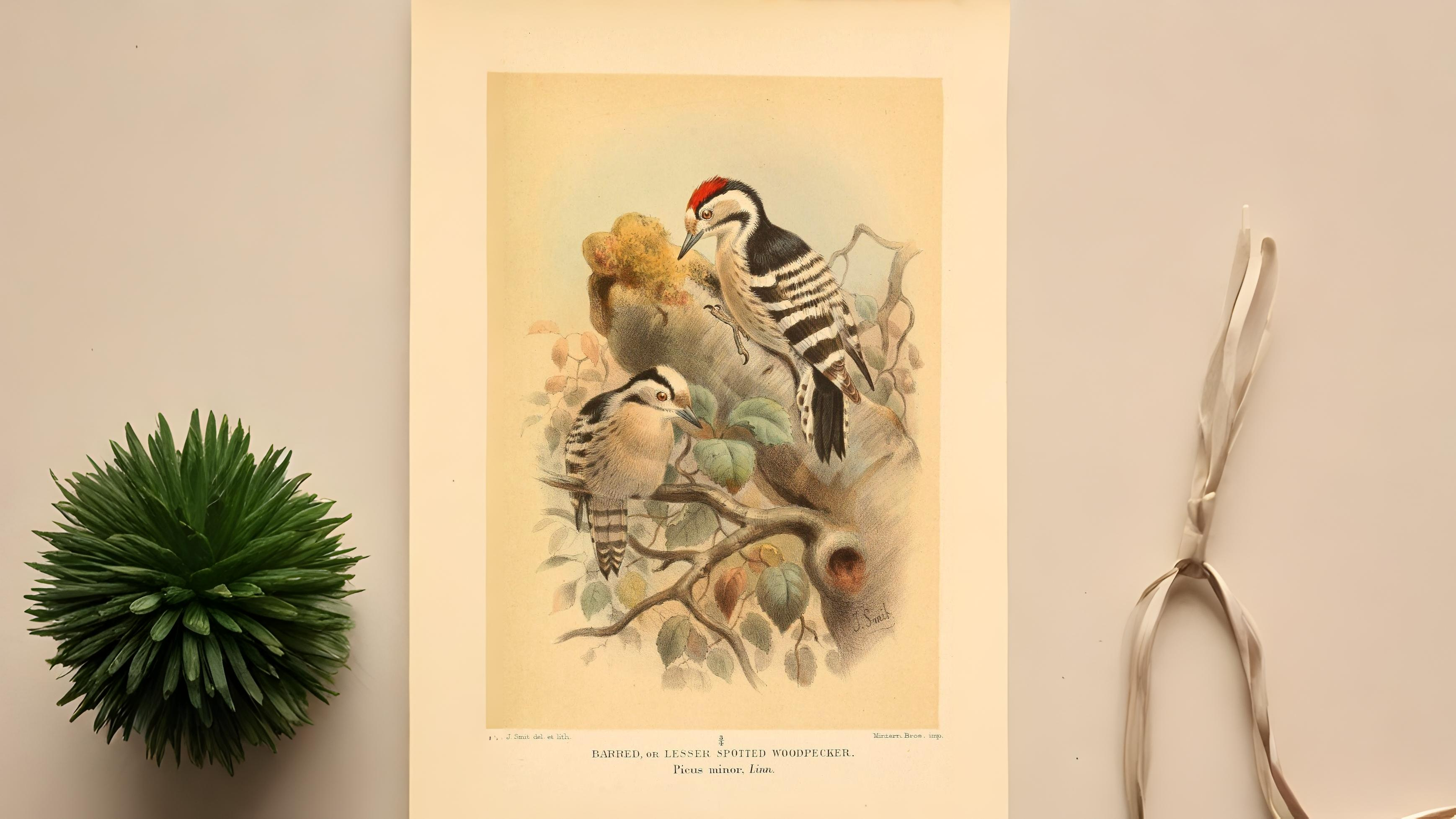 04-Oct October's Lingering Melodies Section Image