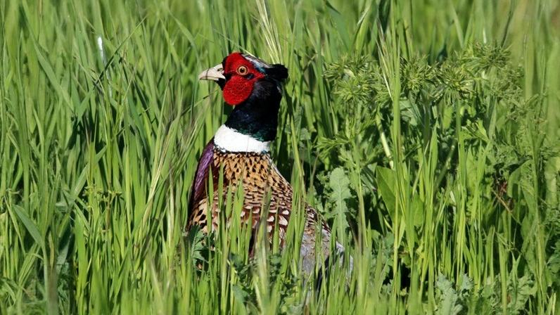 04-Oct October's Lingering Melodies Section Image