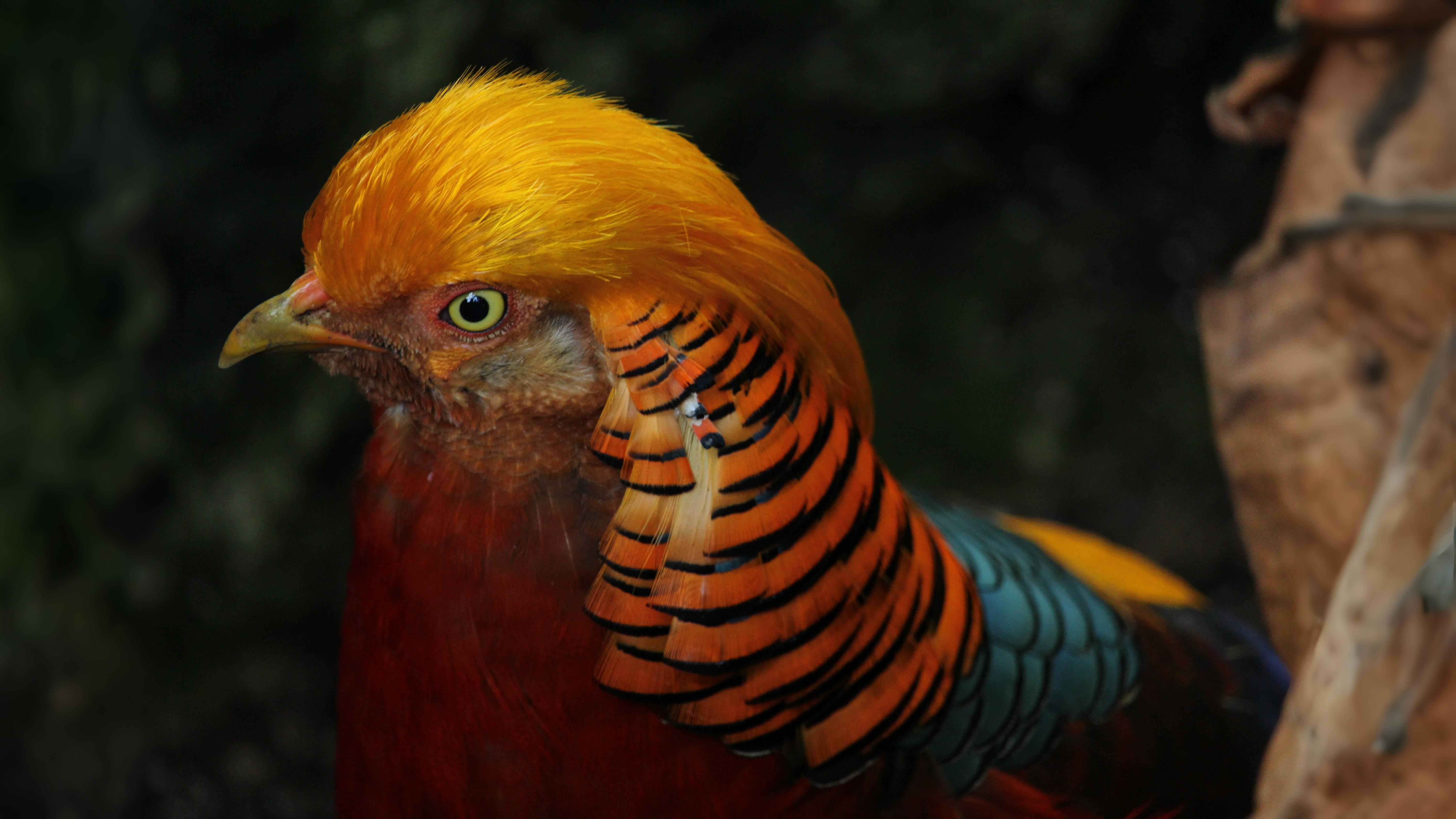 04-Oct October's Lingering Melodies Section Image