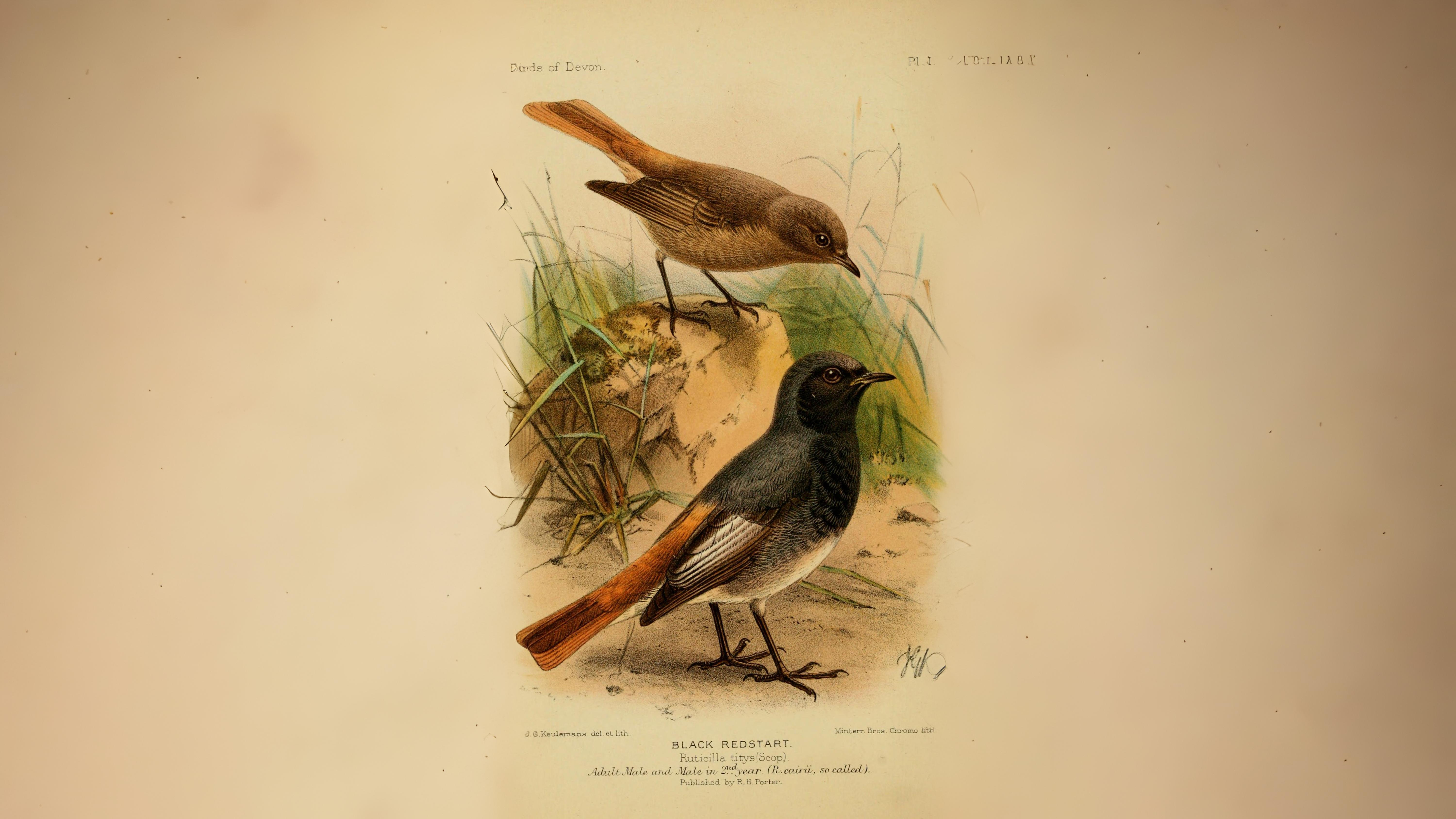 04-Oct October's Lingering Melodies Section Image