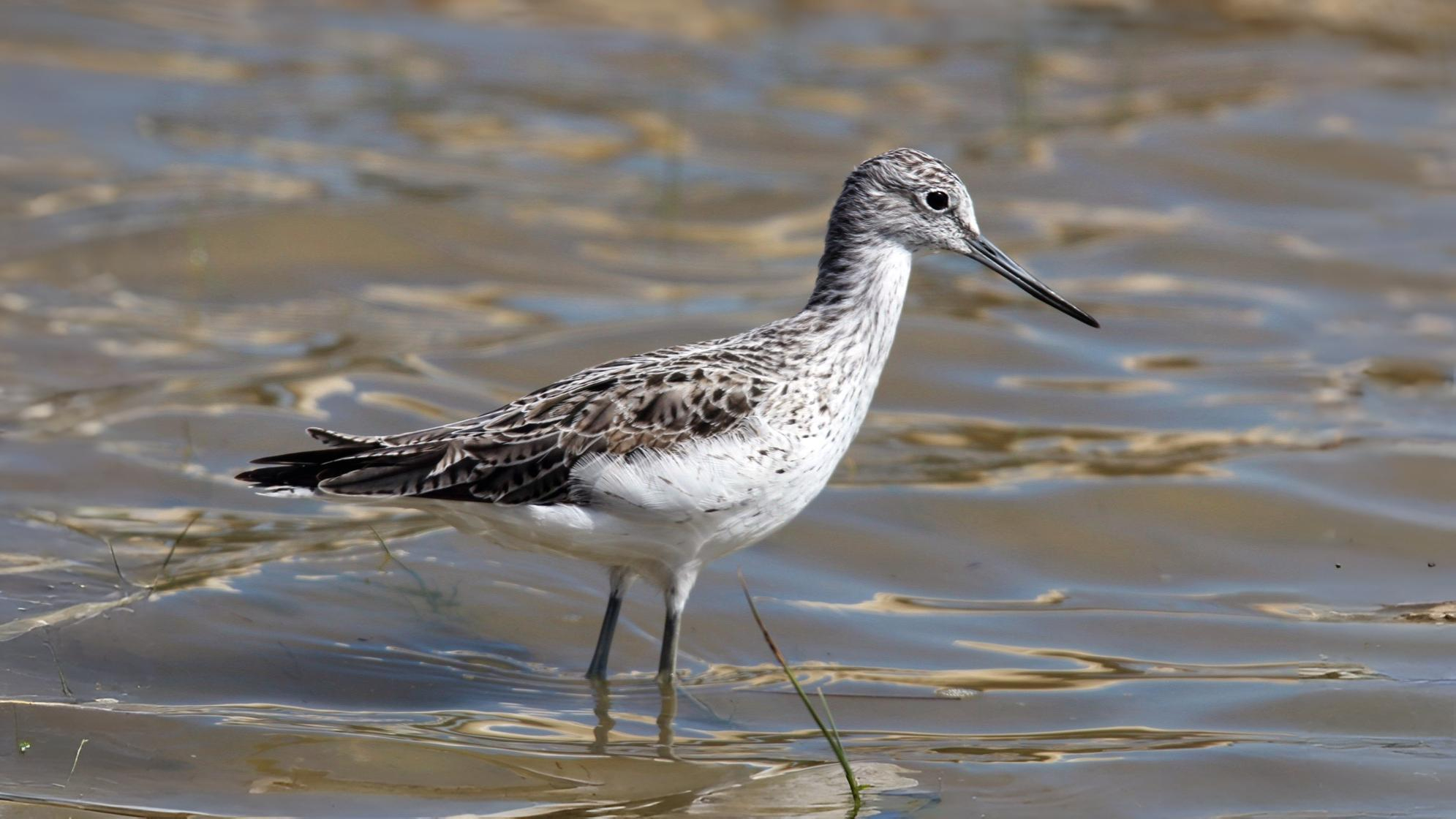 07-Oct London's Olympian Travellers Section Image