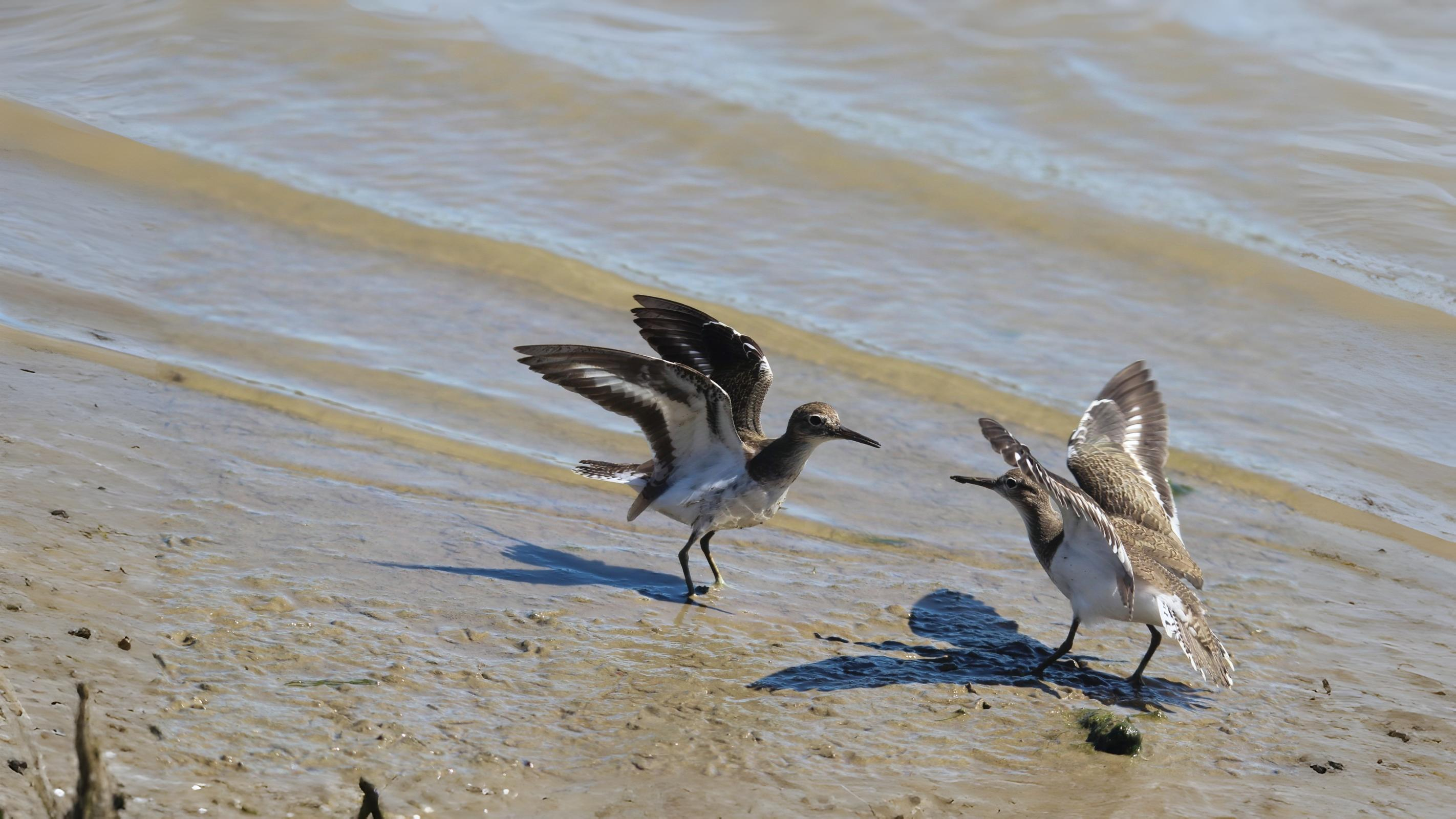07-Oct London's Olympian Travellers Section Image