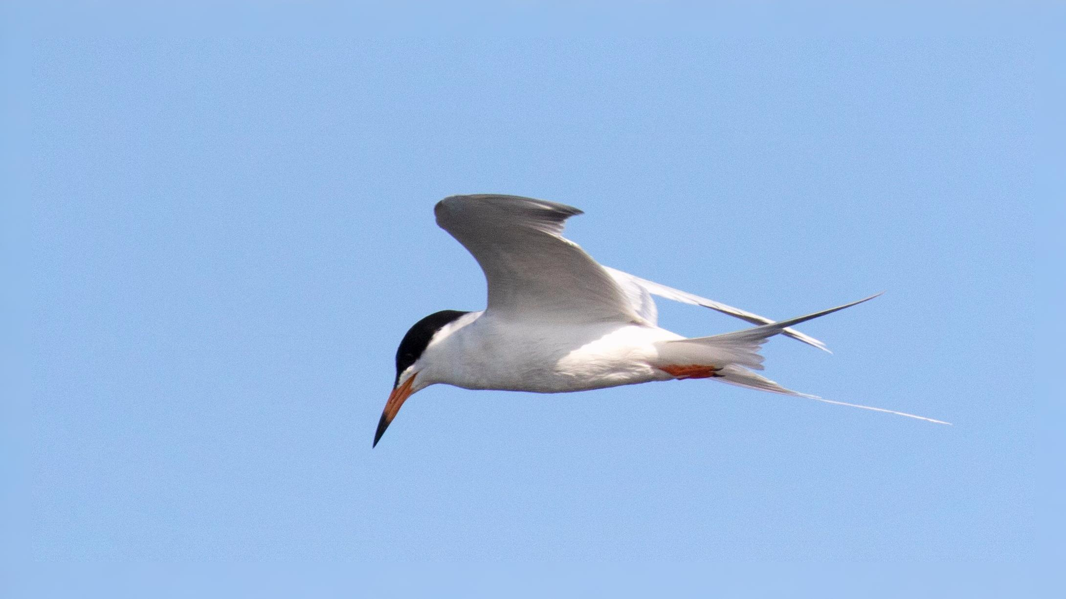 07-Oct London's Olympian Travellers Section Image