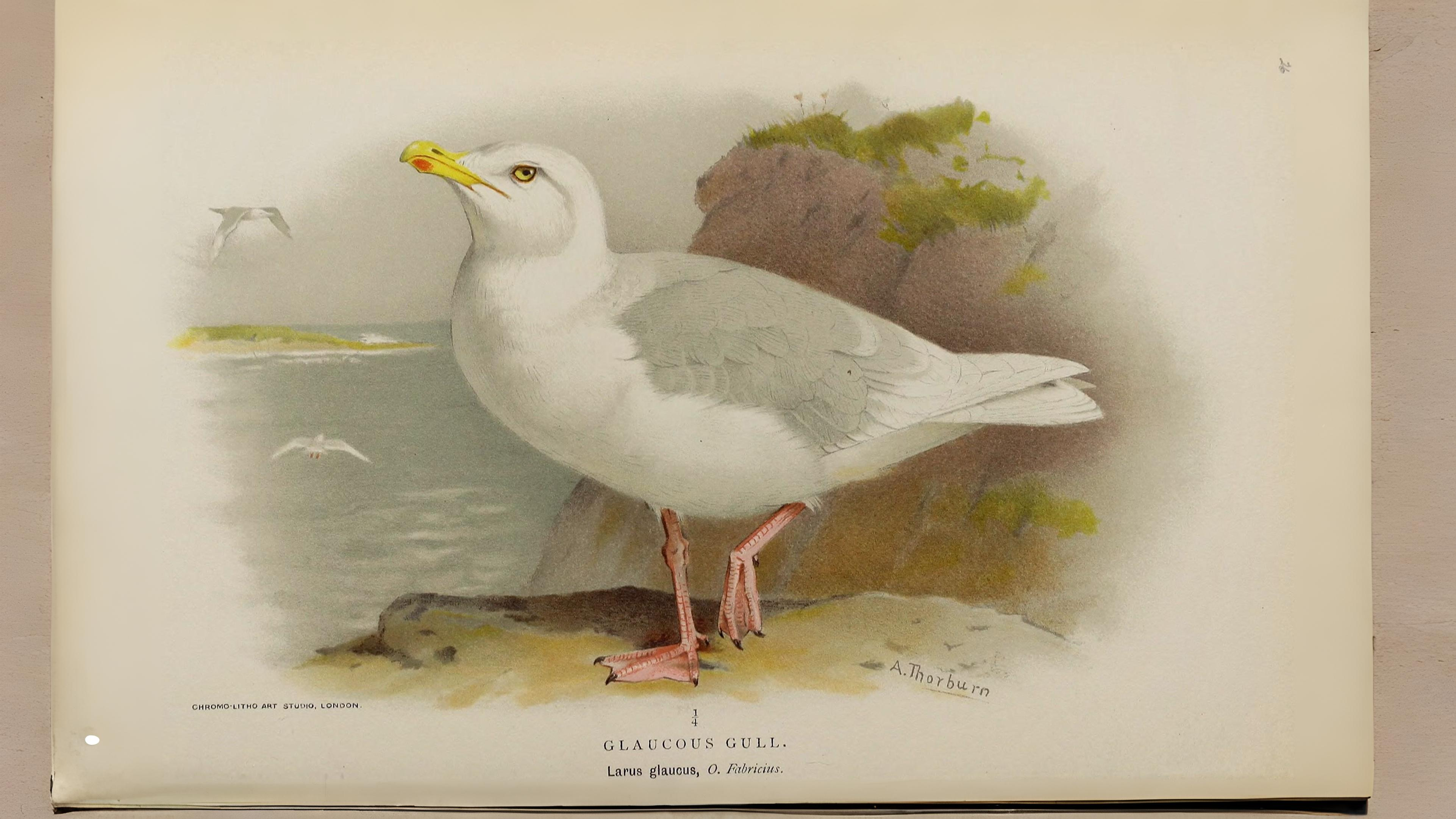 07-Oct London's Olympian Travellers Section Image