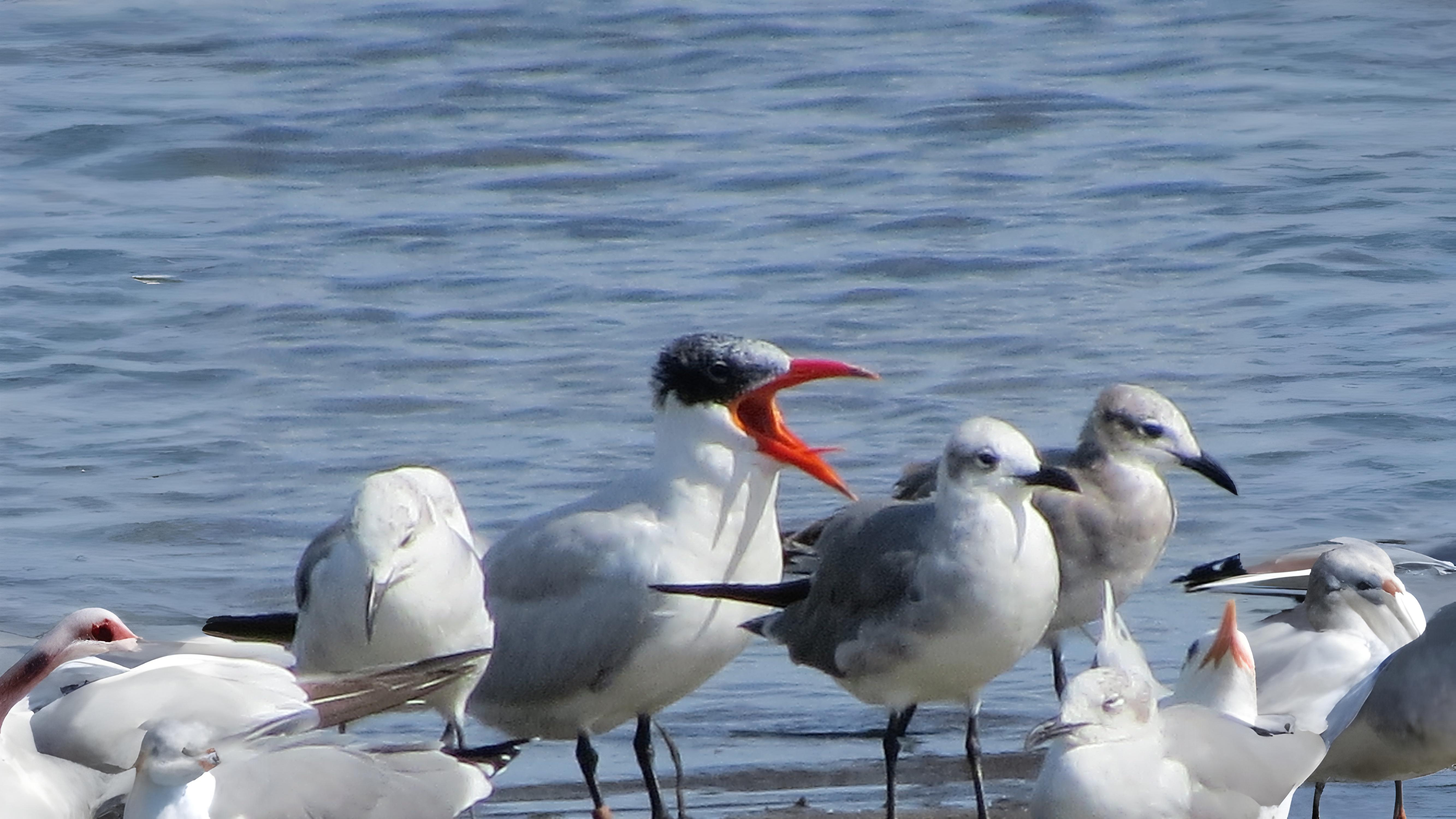 07-Oct London's Olympian Travellers Section Image