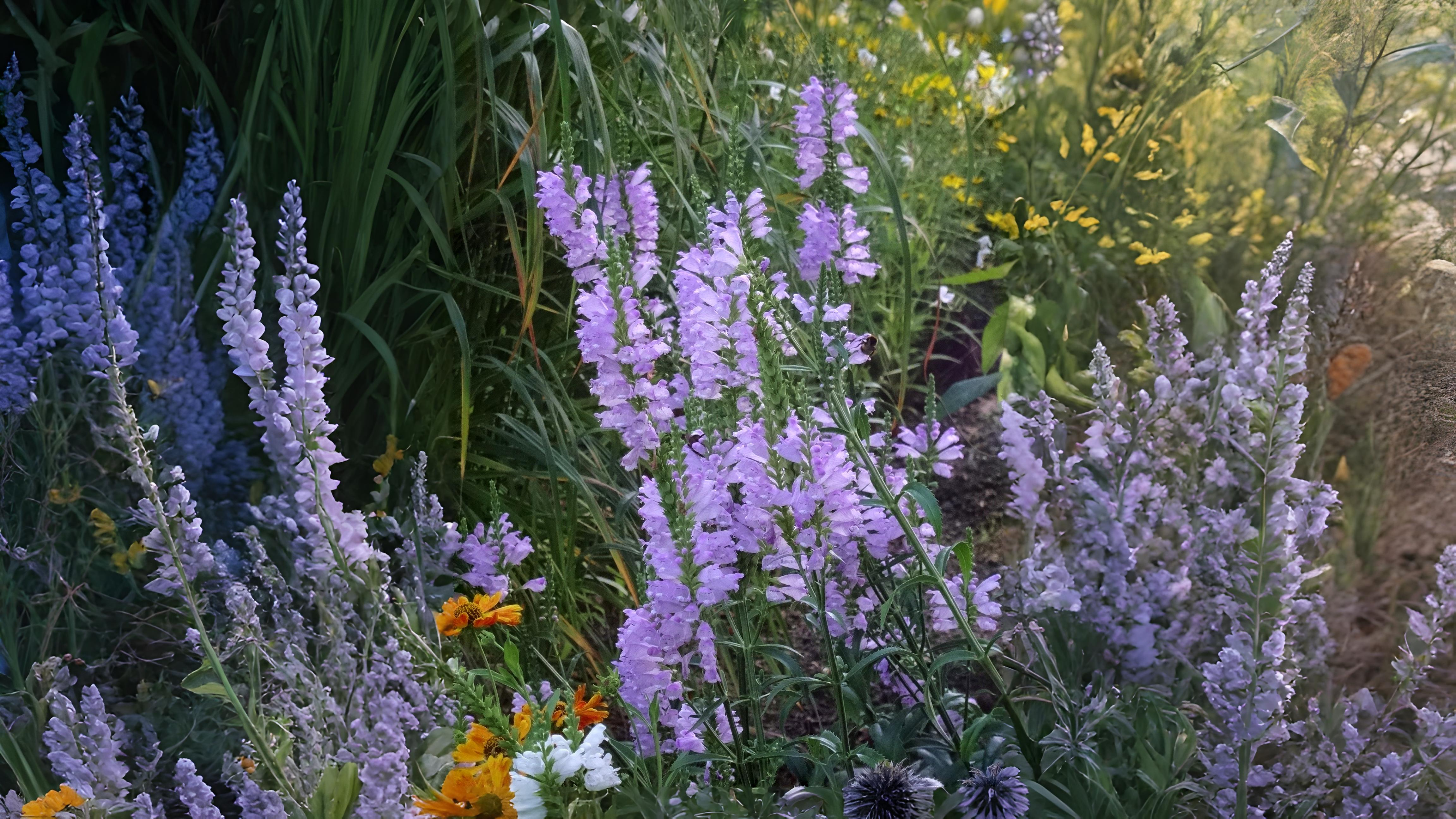 09-Oct Autumn's Final Flourish Section Image