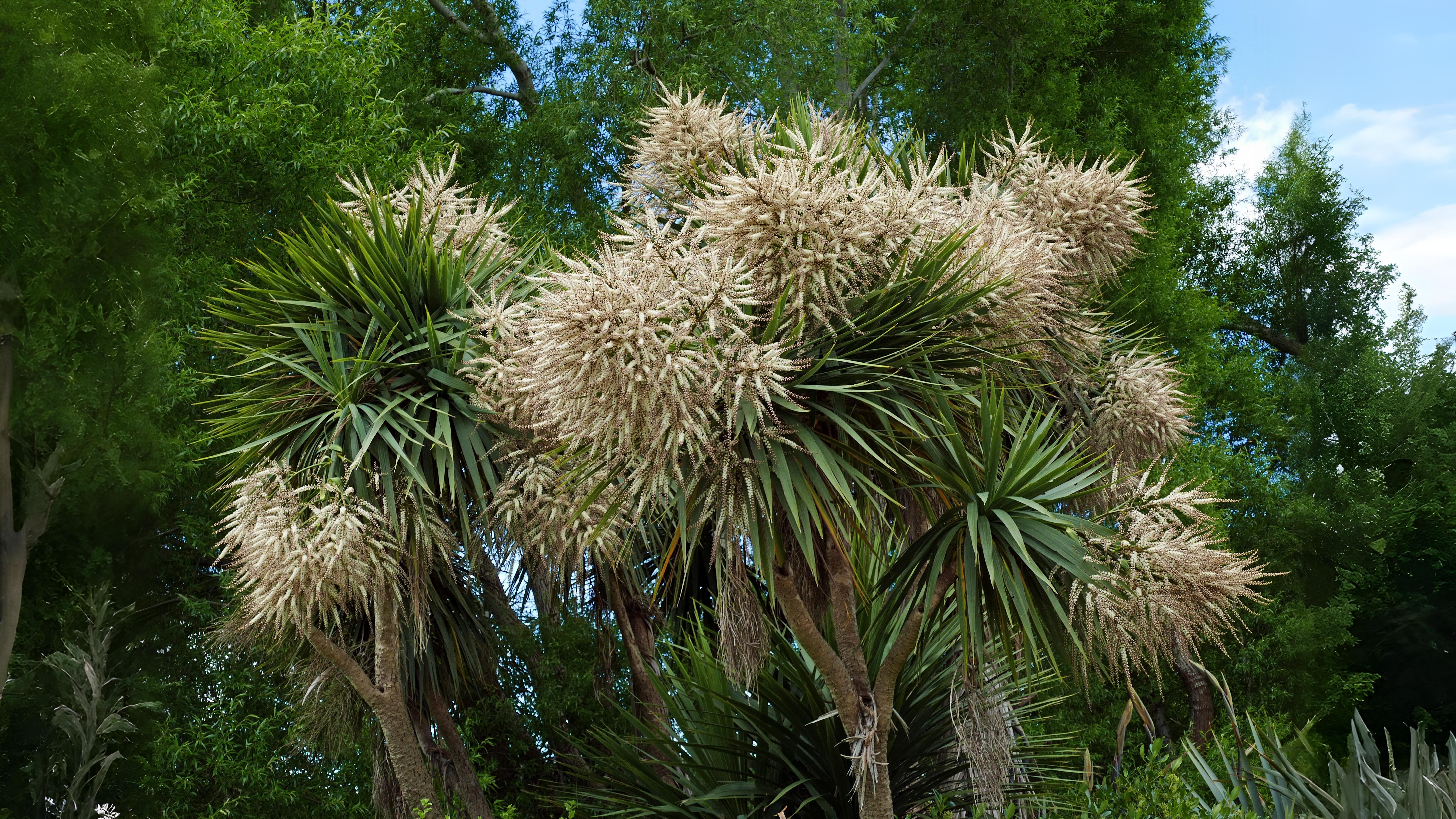 10-Oct October's Olfactory Oasis Section Image