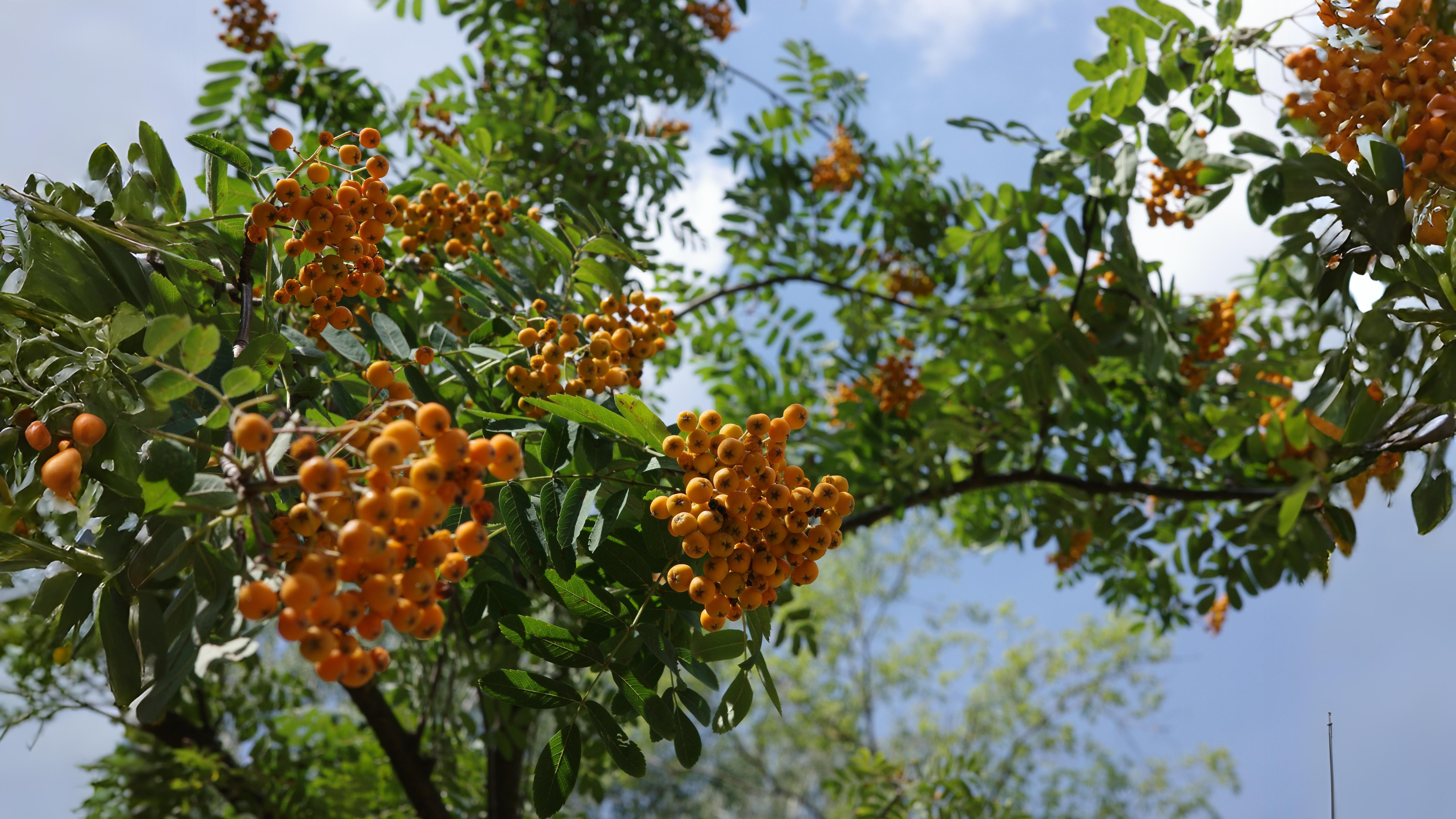 12-Oct October's Jewels Section Image